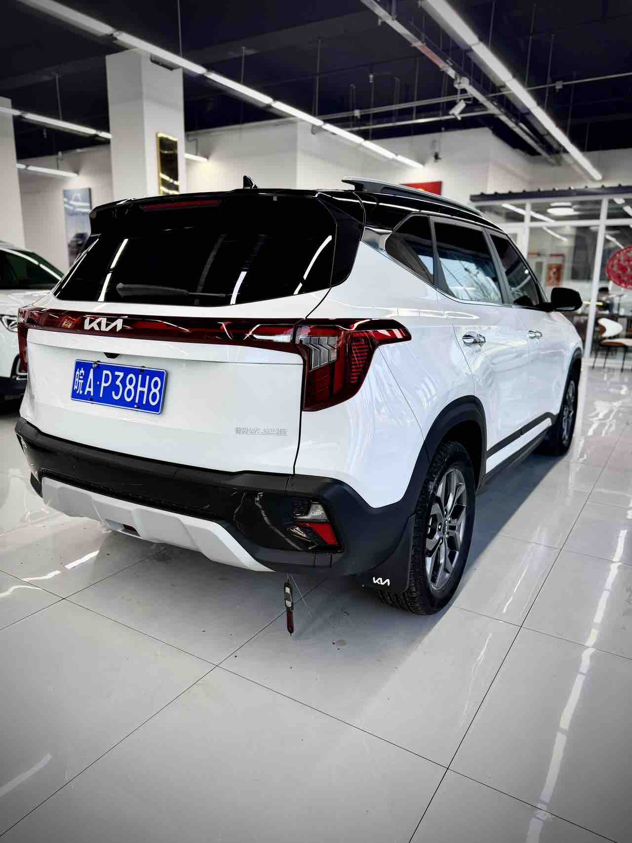 Kia Seltos 2023 imagen de coche #4
