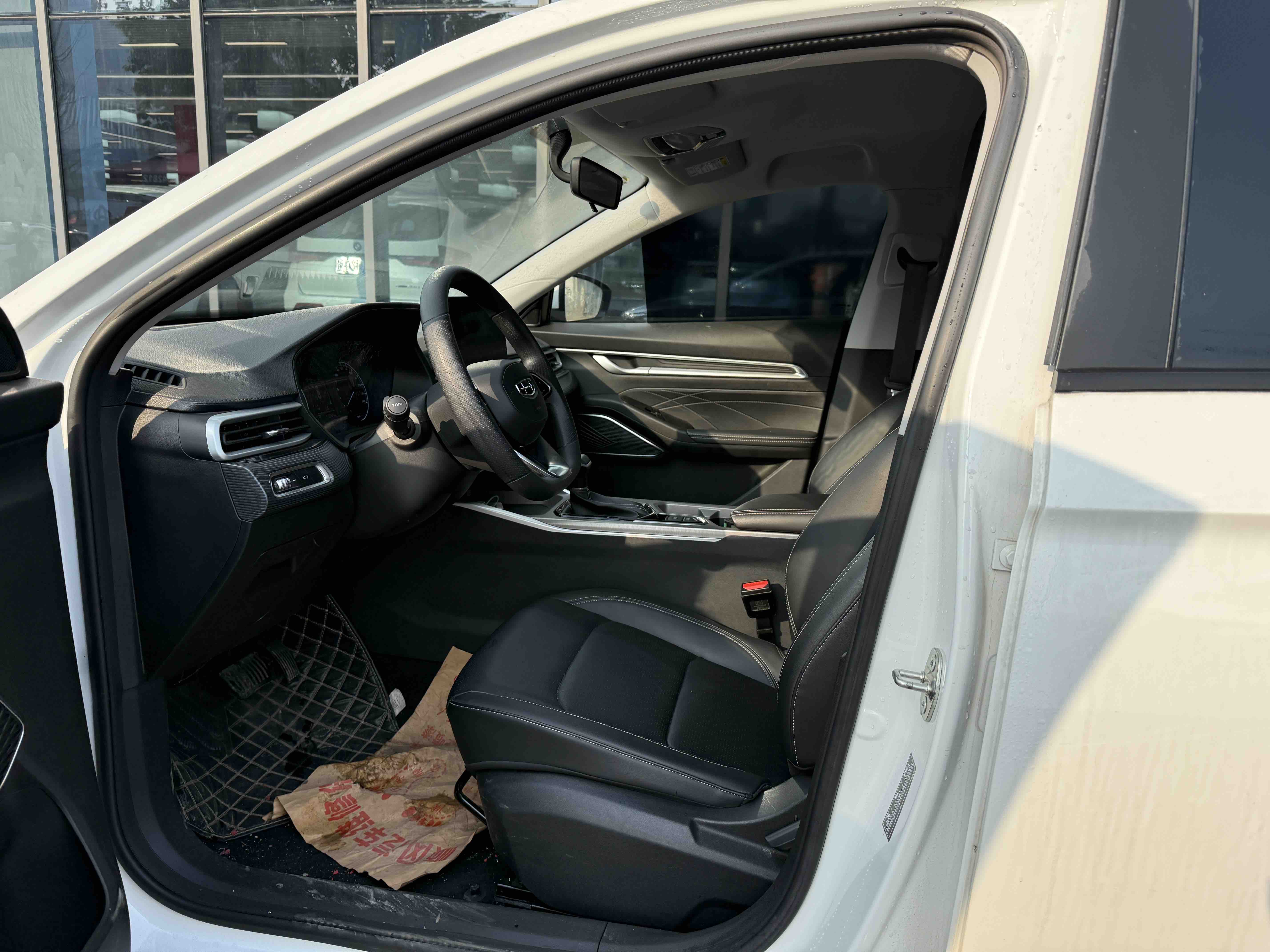 Emgrand 2023 car image #4