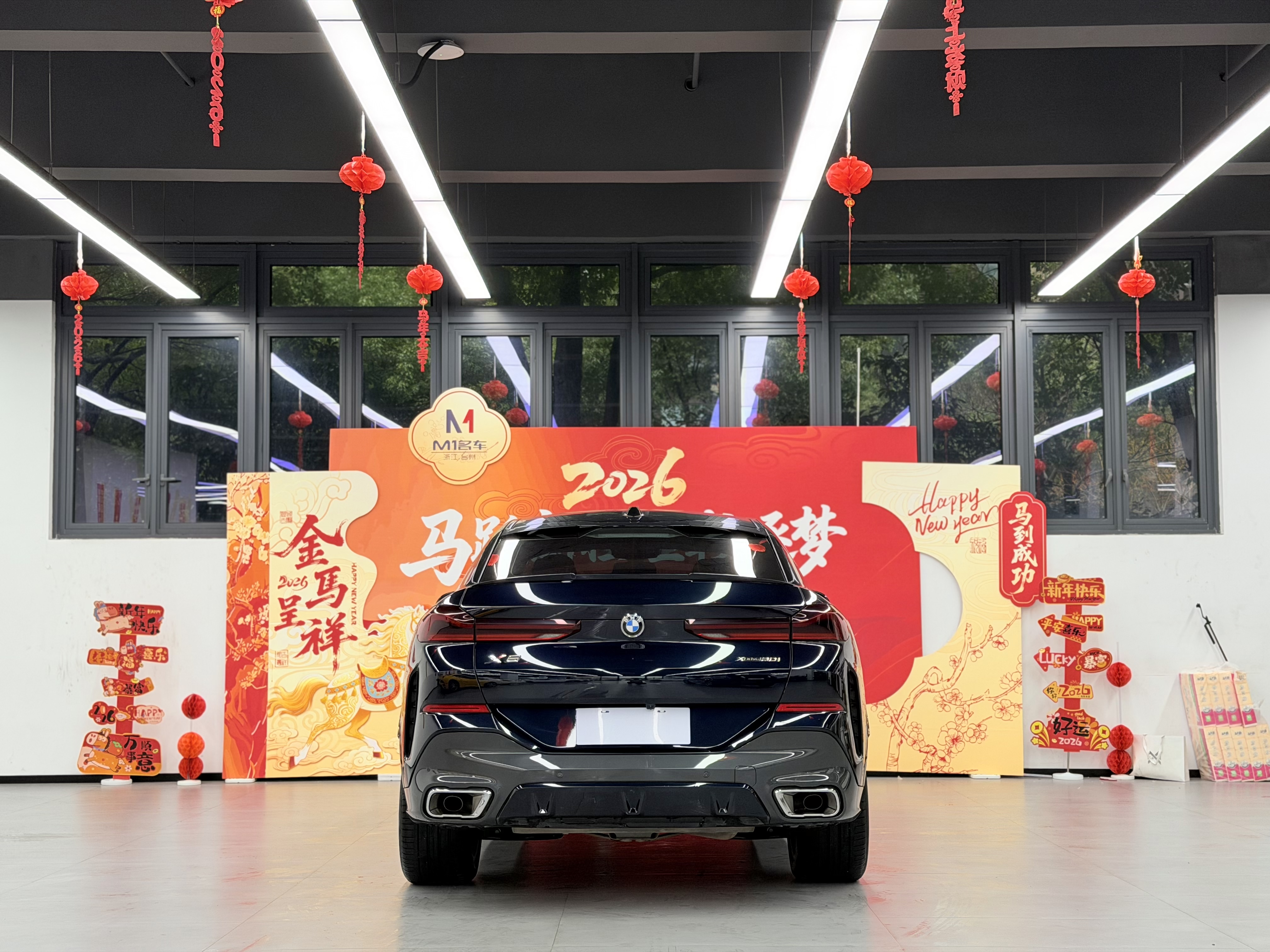 BMW X6 2023 car image #4