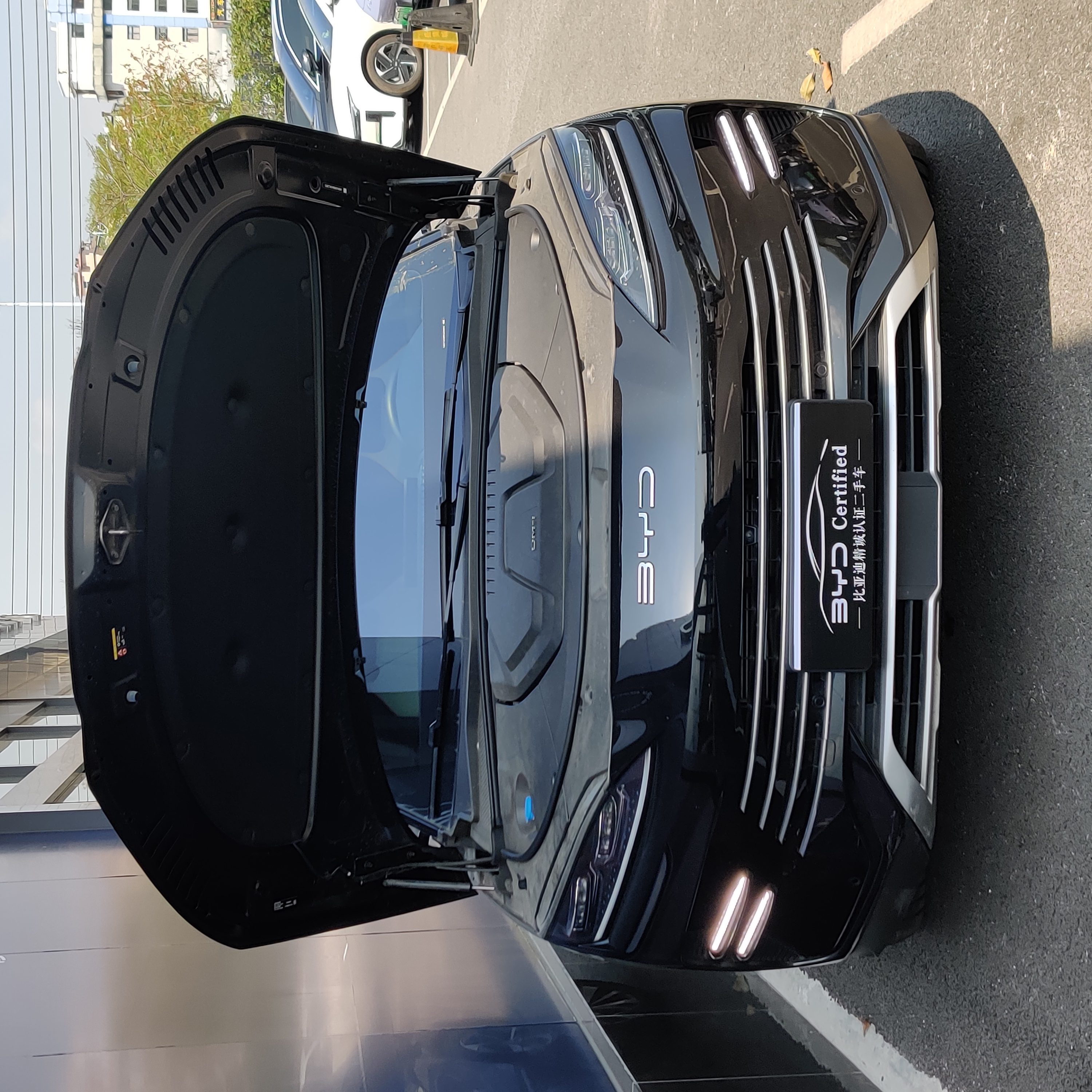 BYD Song Plus New Energy 2024 car image #4