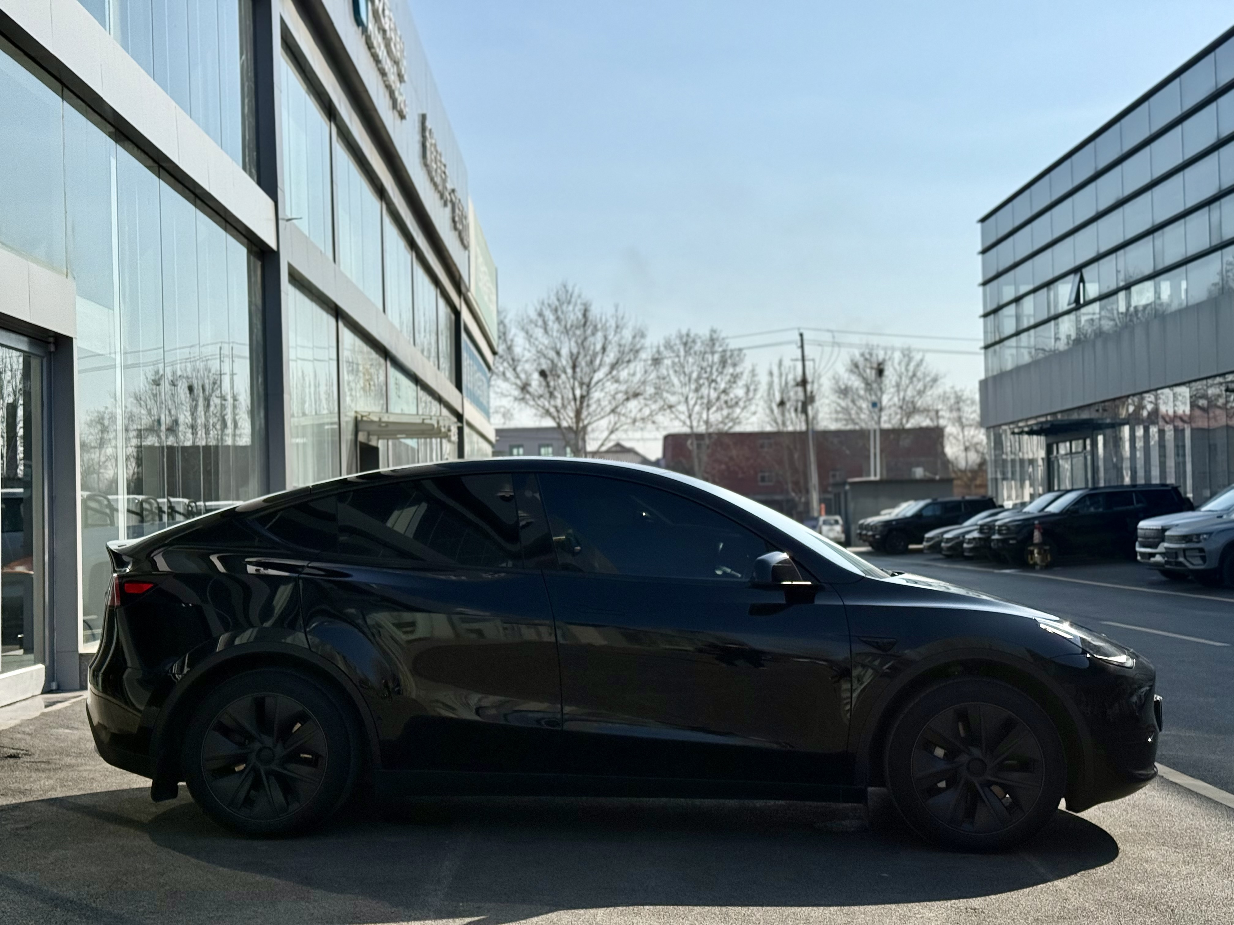Tesla Model Y 2024 #4 Tesla Model Y 2024 car image #4