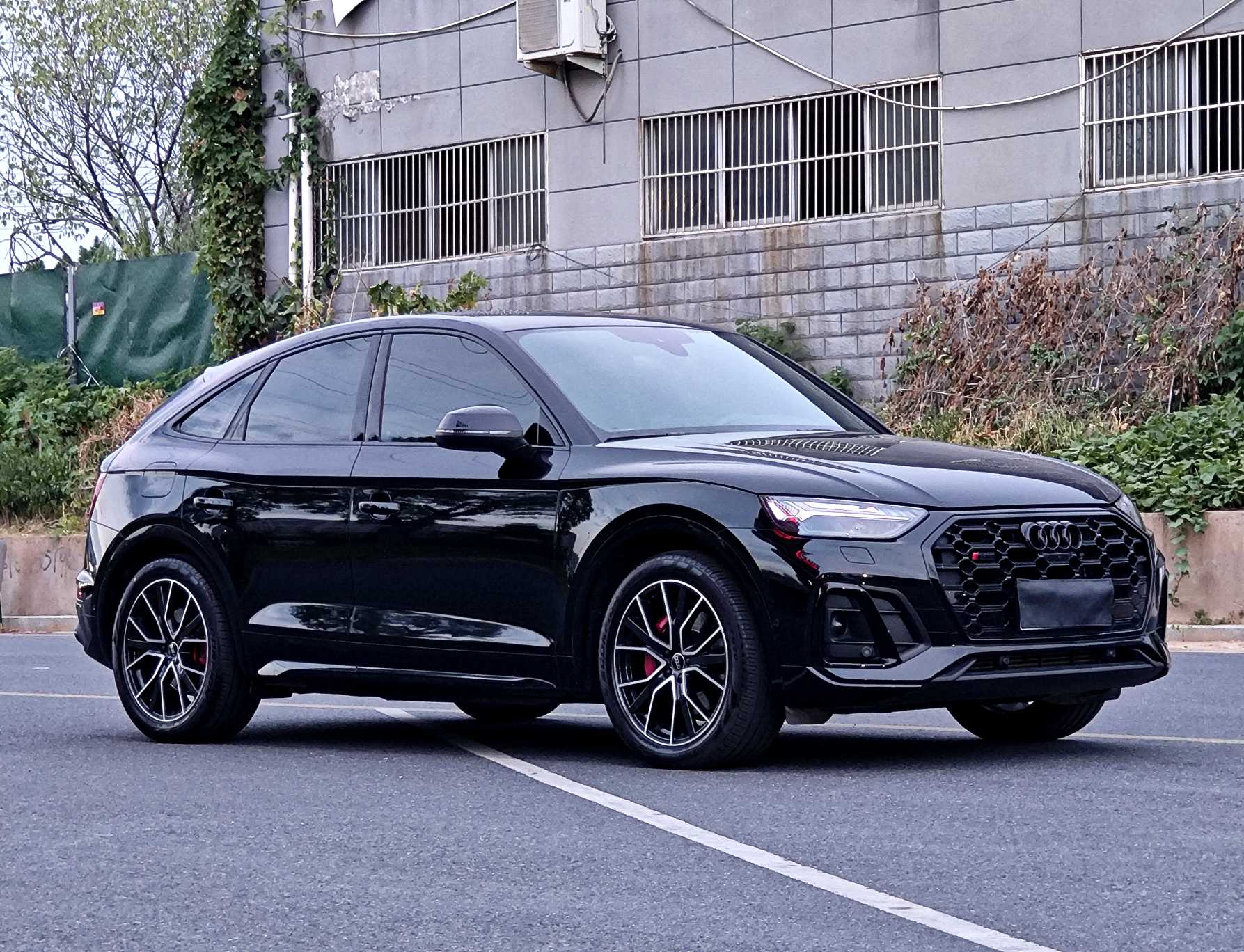 Audi SQ5 2023 imagem de carro #4