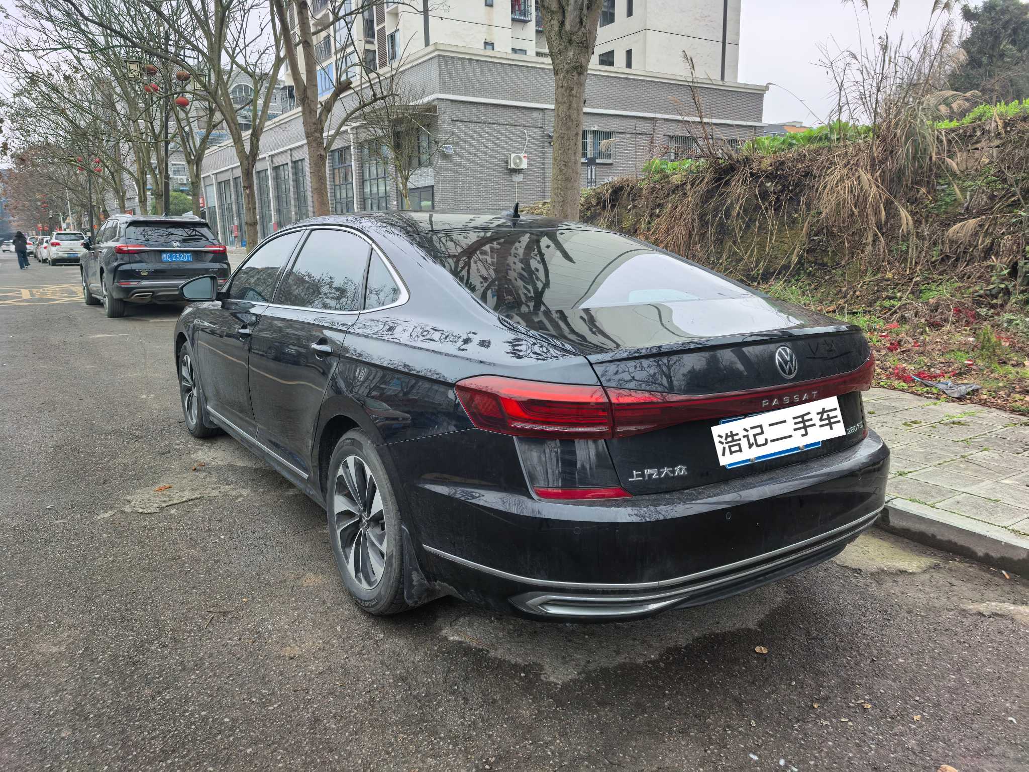 Volkswagen Passat 2024 car image #4