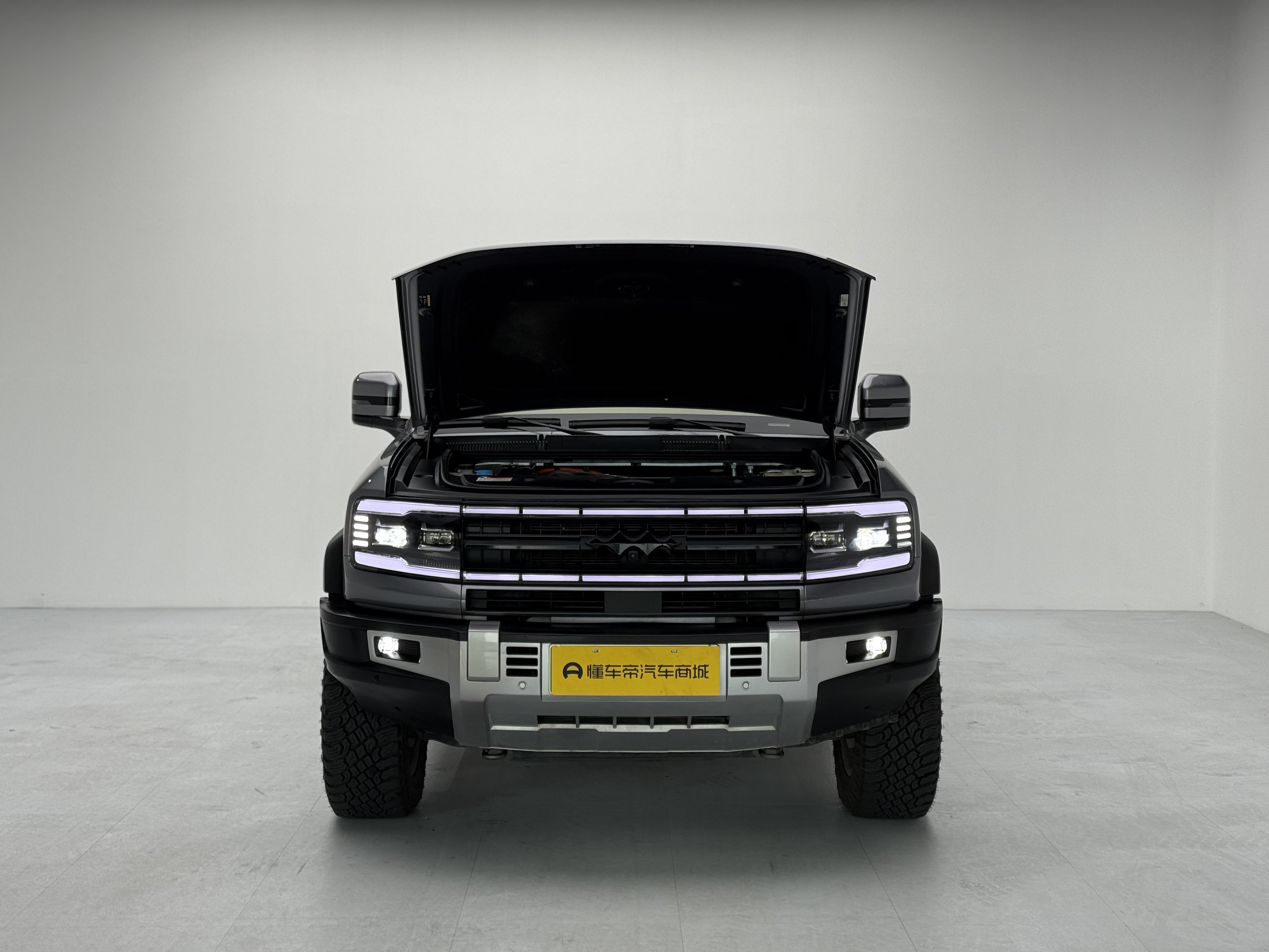 FangChengBao Leopard 5 2024 car image #4