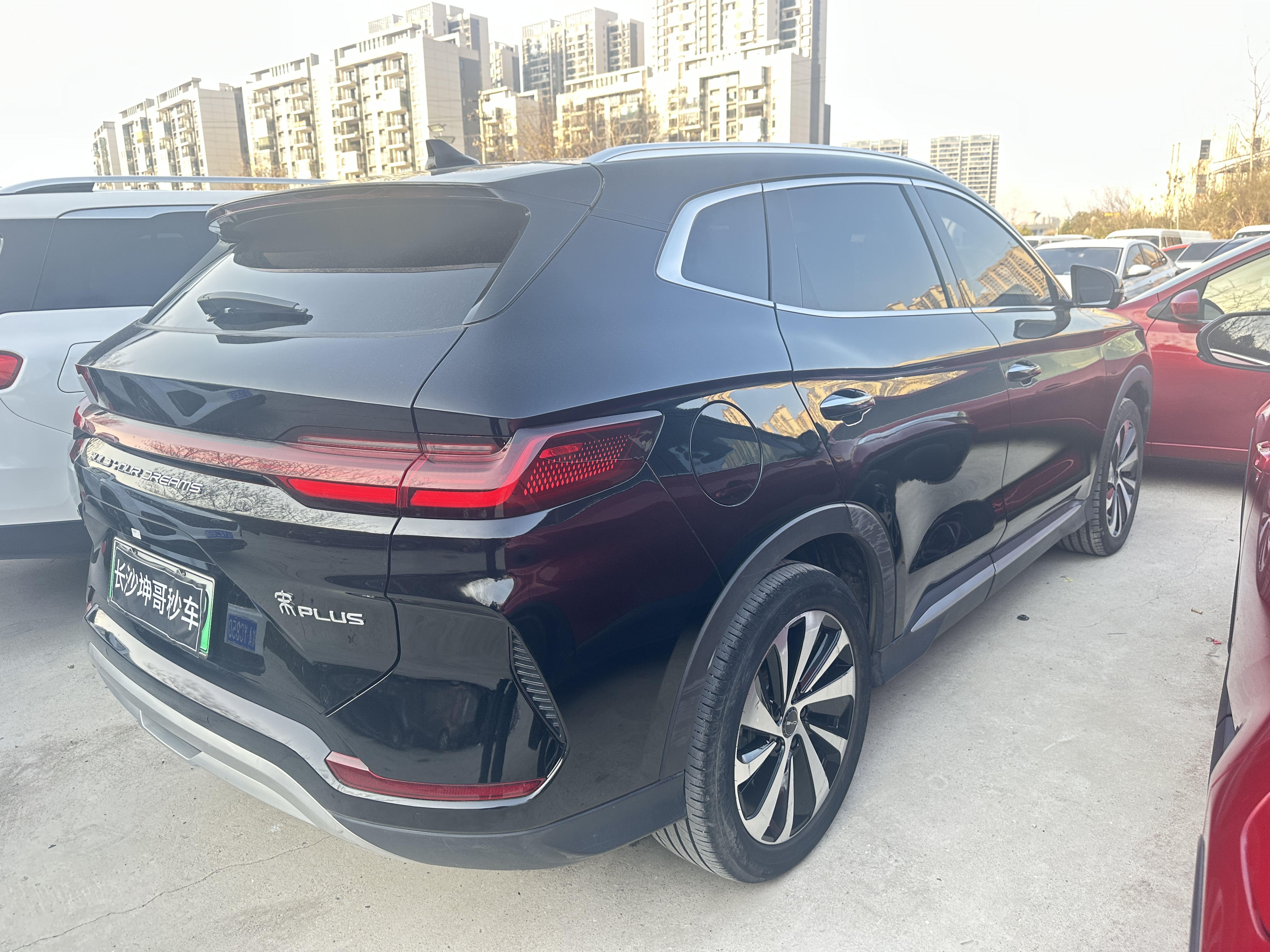 BYD Song Plus New Energy 2024 car image #4