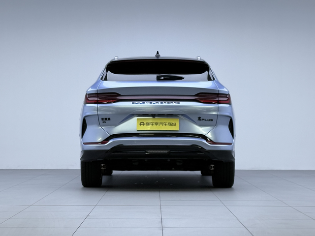 BYD Song Plus New Energy 2024 car image #4