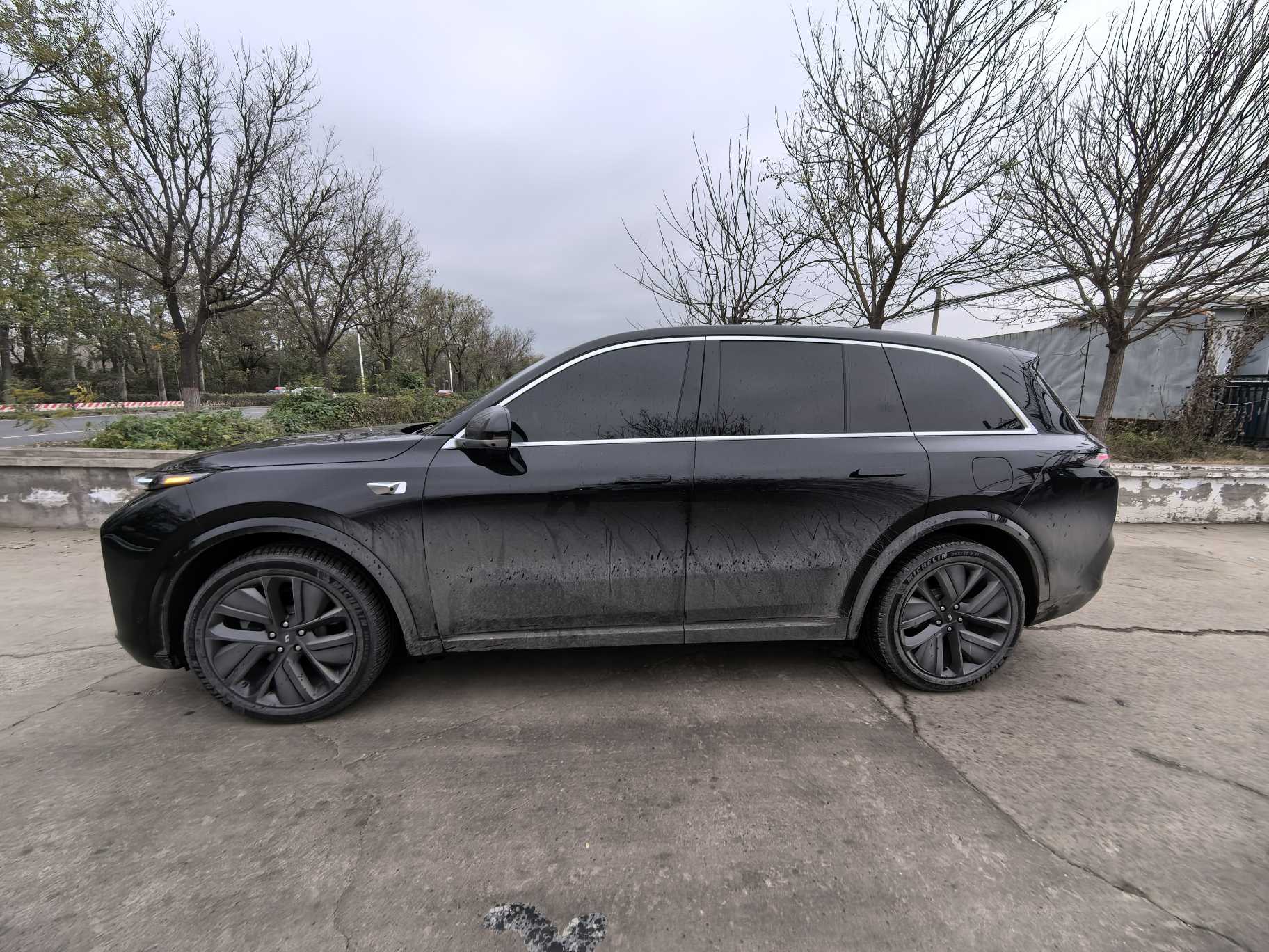 Li L8 2024 imagem de carro #4