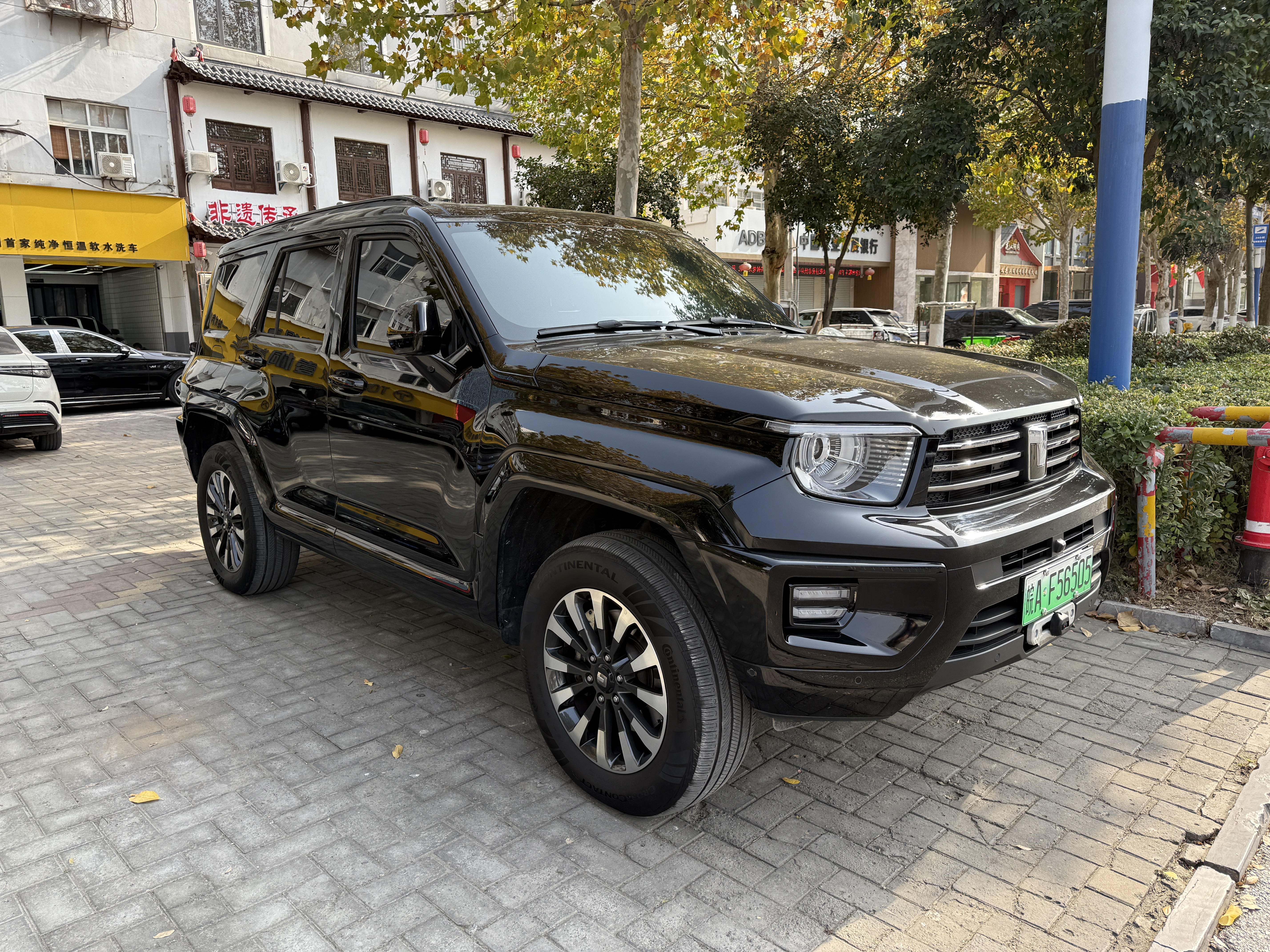 Tank 700 New Energy 2024 immagine di auto #4