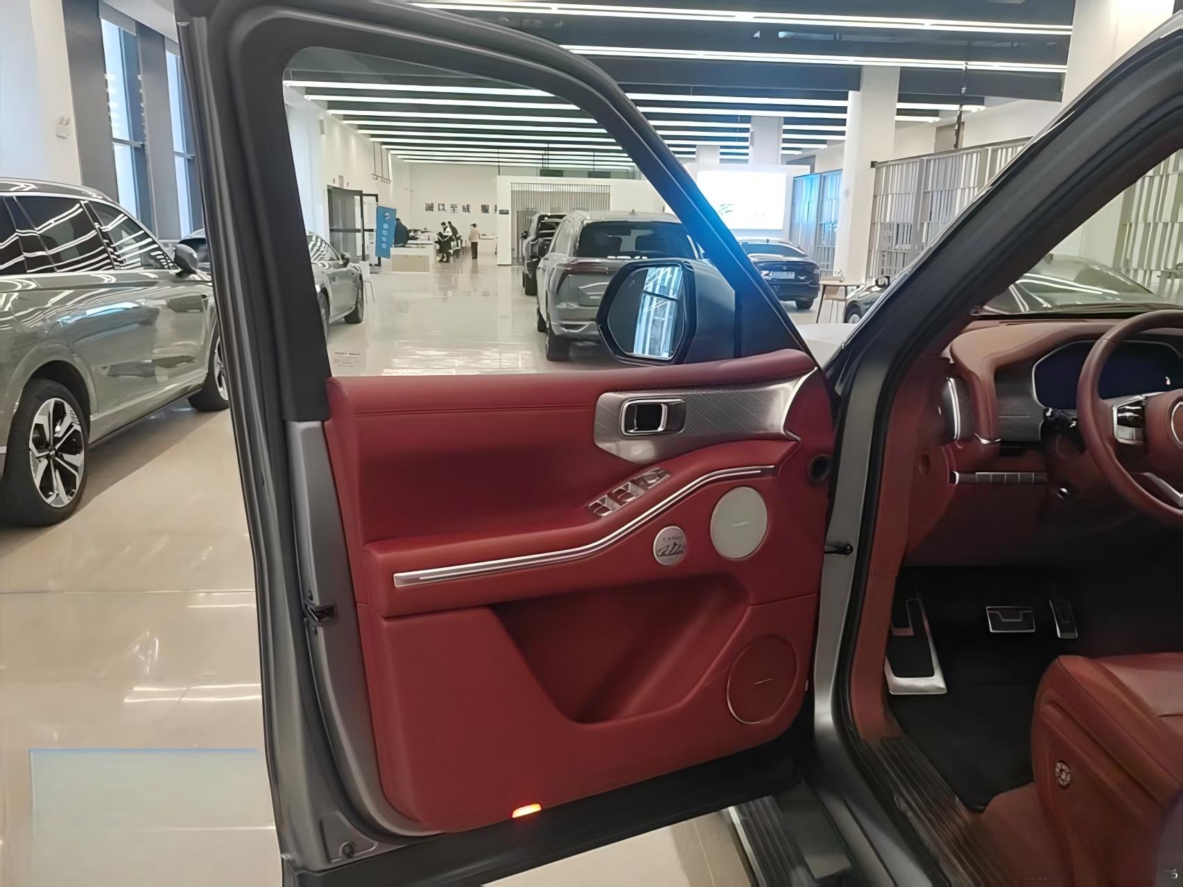 Tank 700 New Energy 2024 car image #4