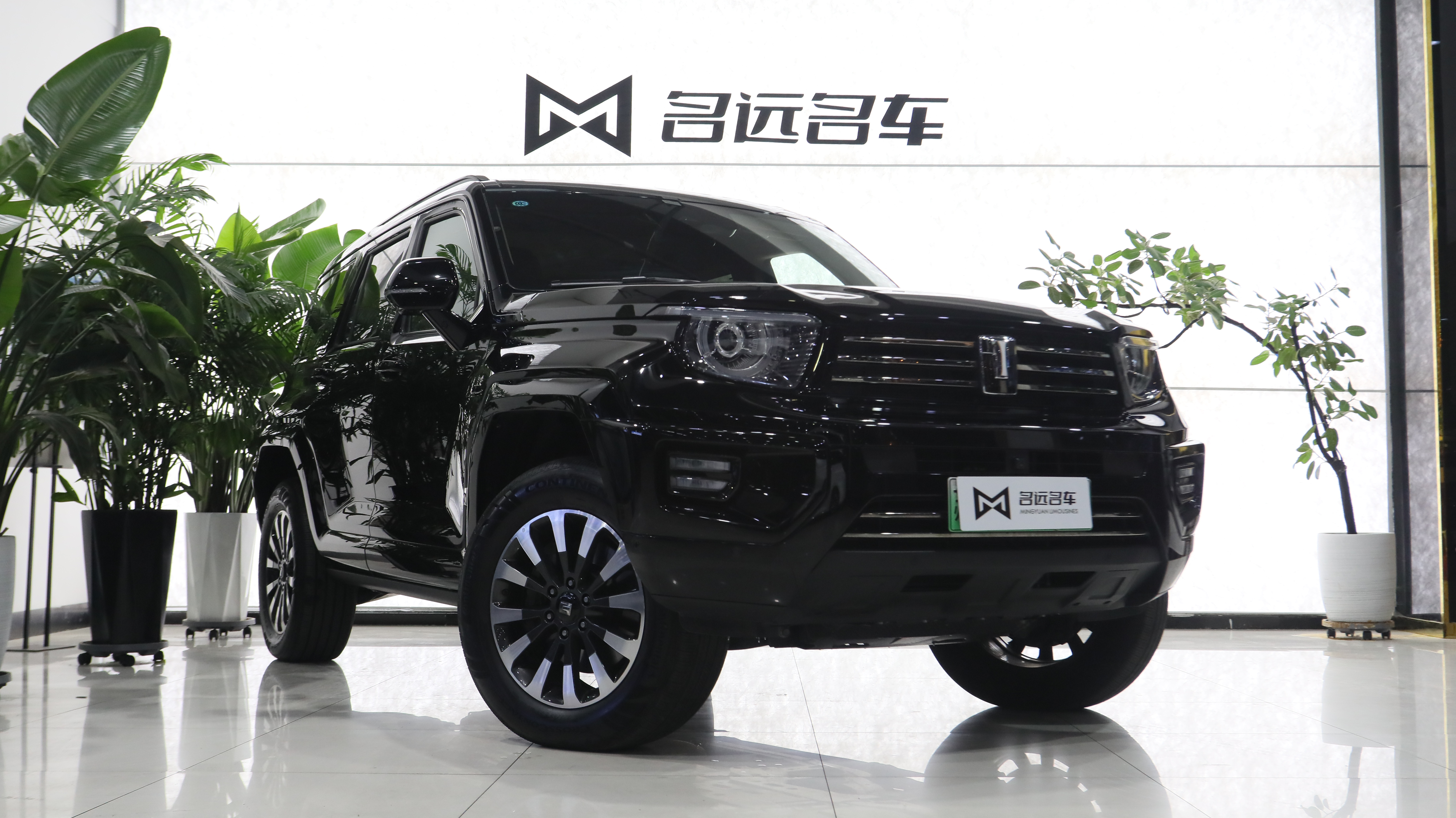 Tank 700 New Energy 2024 immagine di auto #4