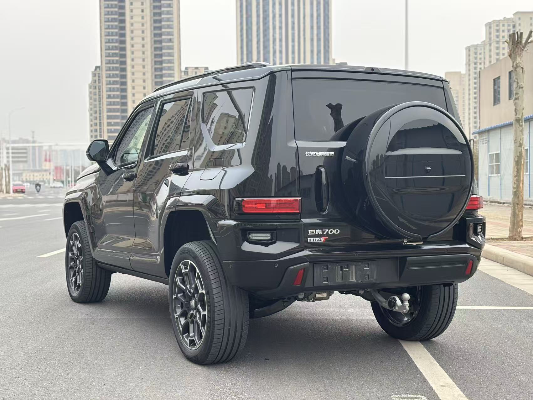 Tank 700 New Energy 2024 immagine di auto #4