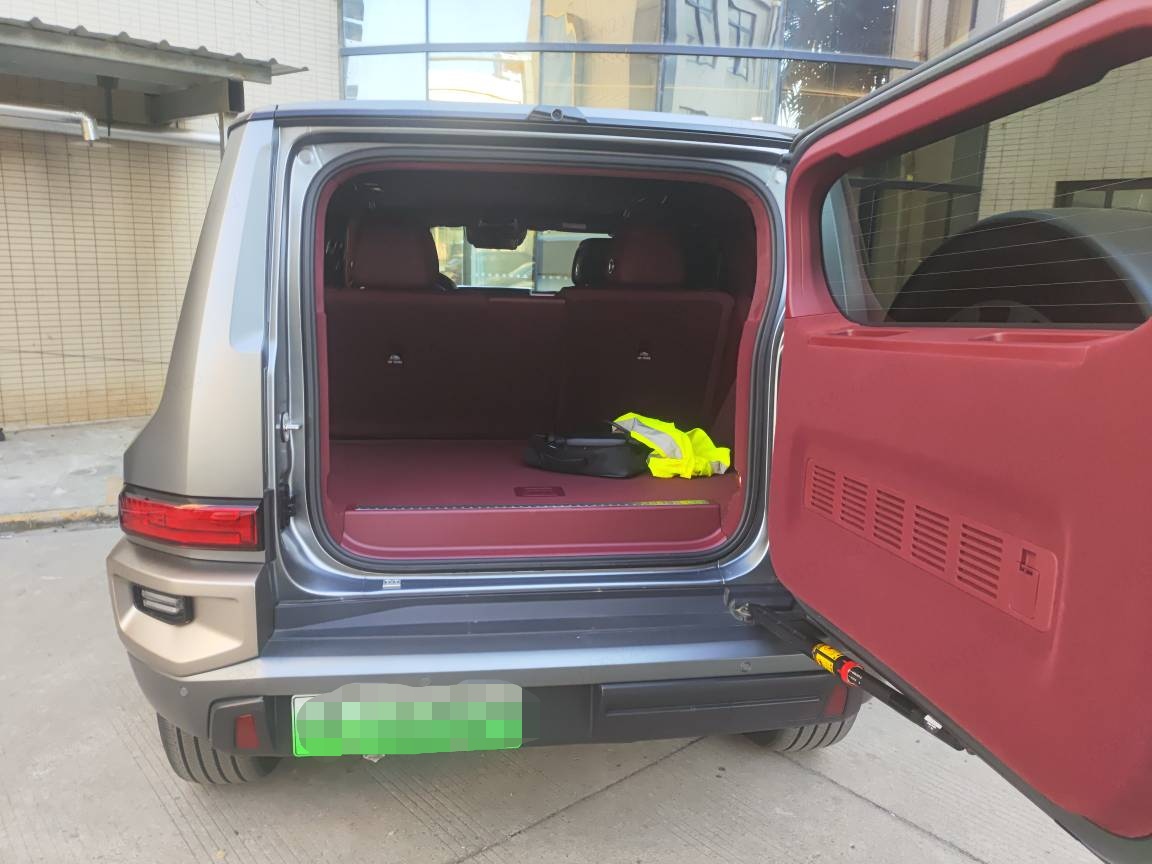 Tank 700 New Energy 2024 immagine di auto #4