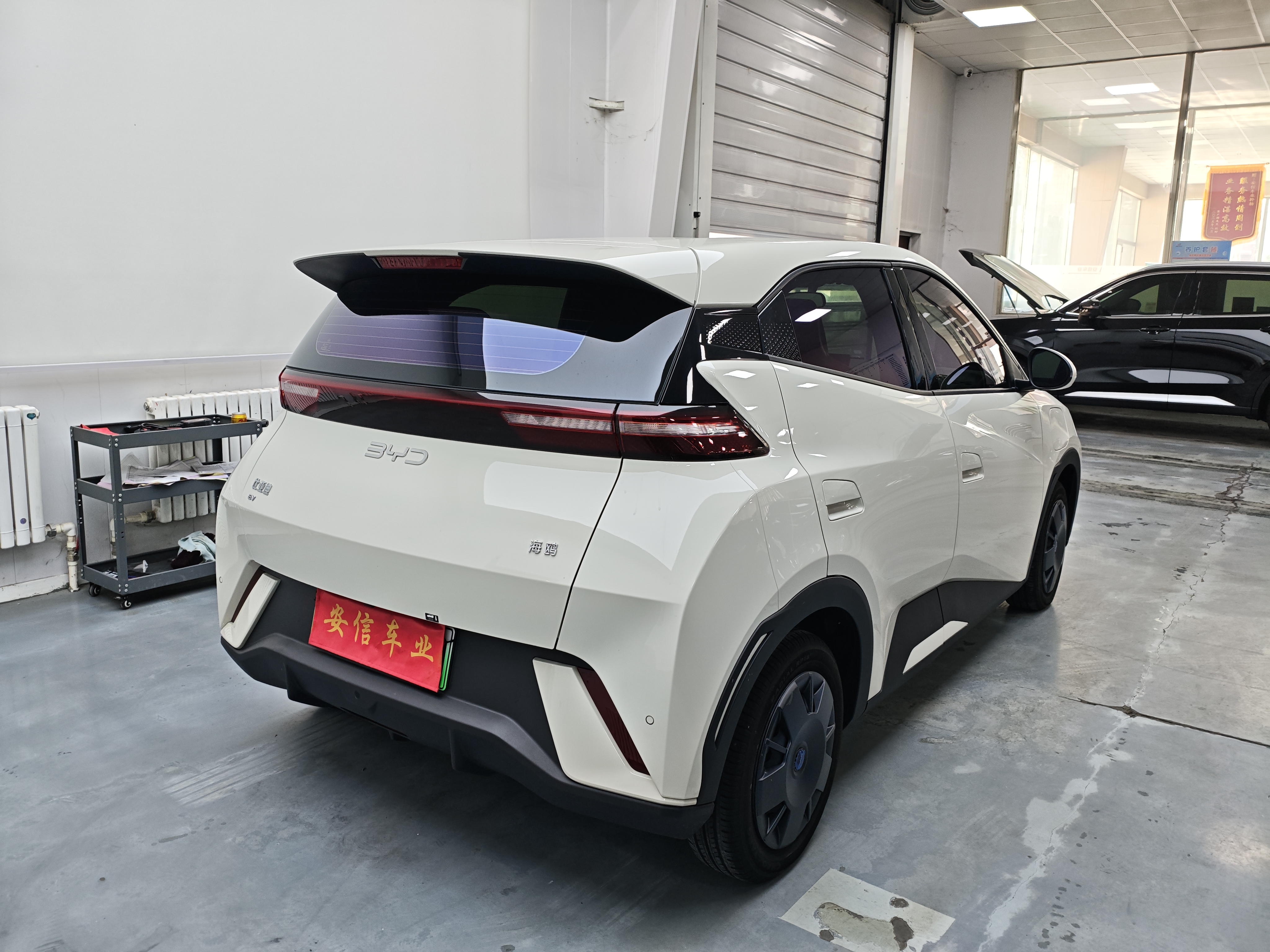 BYD Seagull 2024 صورة سيارة #4