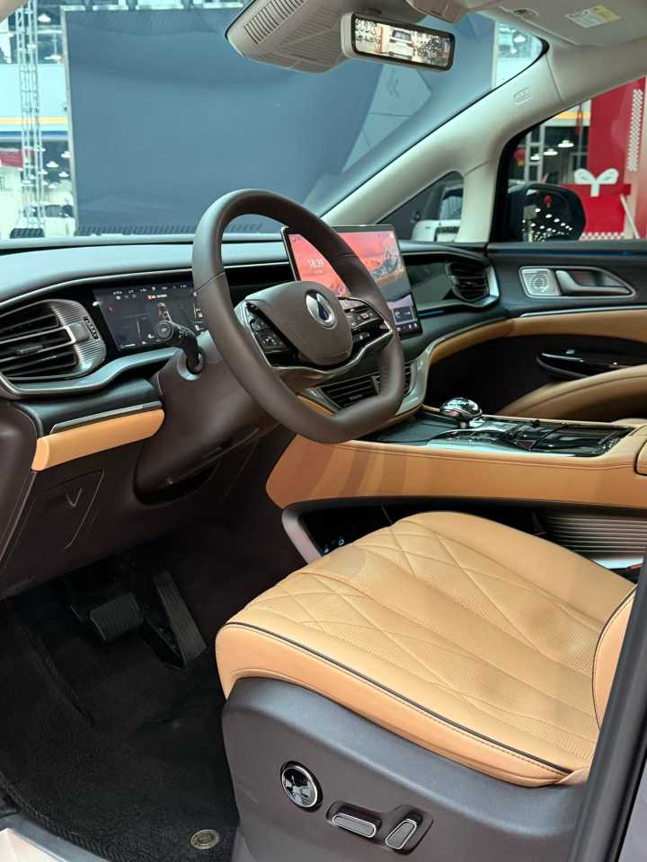 Denza D9 2025 car image #4