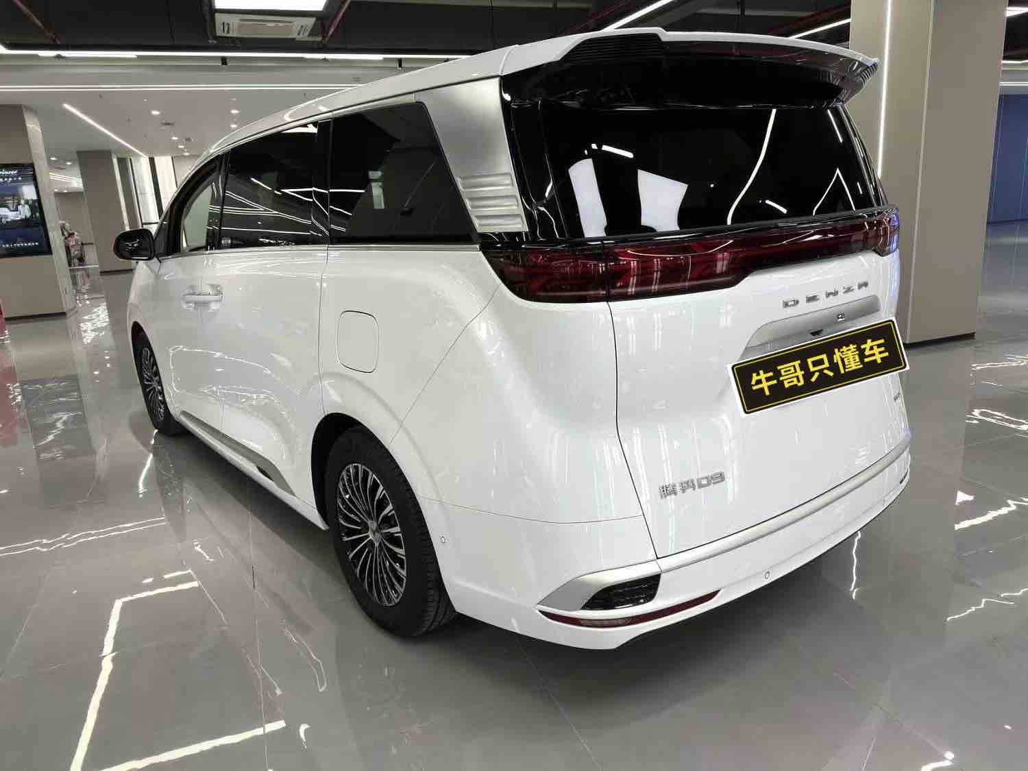 Denza D9 2024 imagen de coche #4