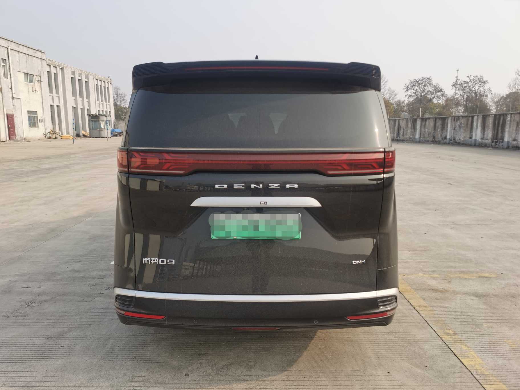 Denza D9 2024 car image #4