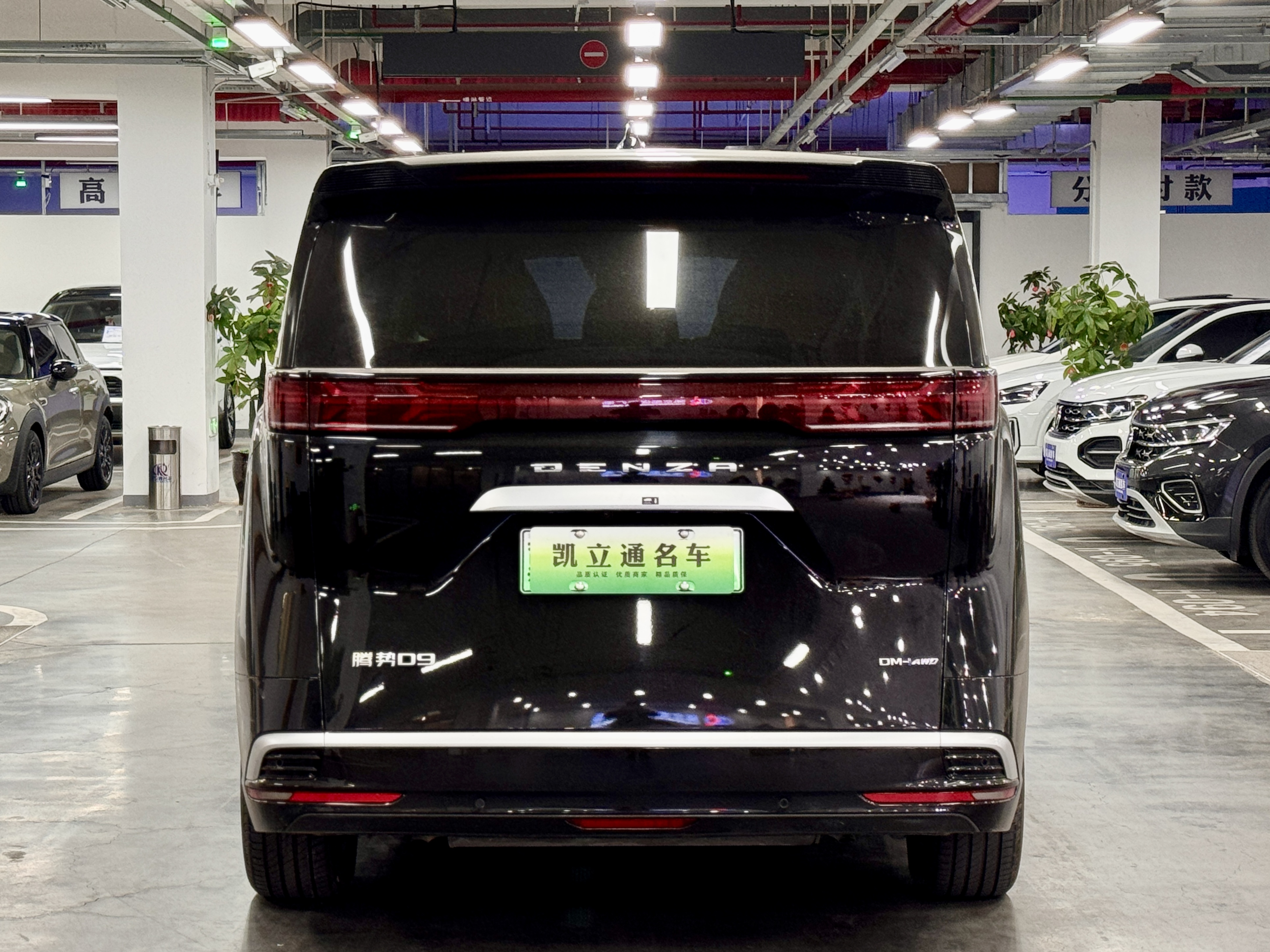 Denza D9 2024 صورة سيارة #4