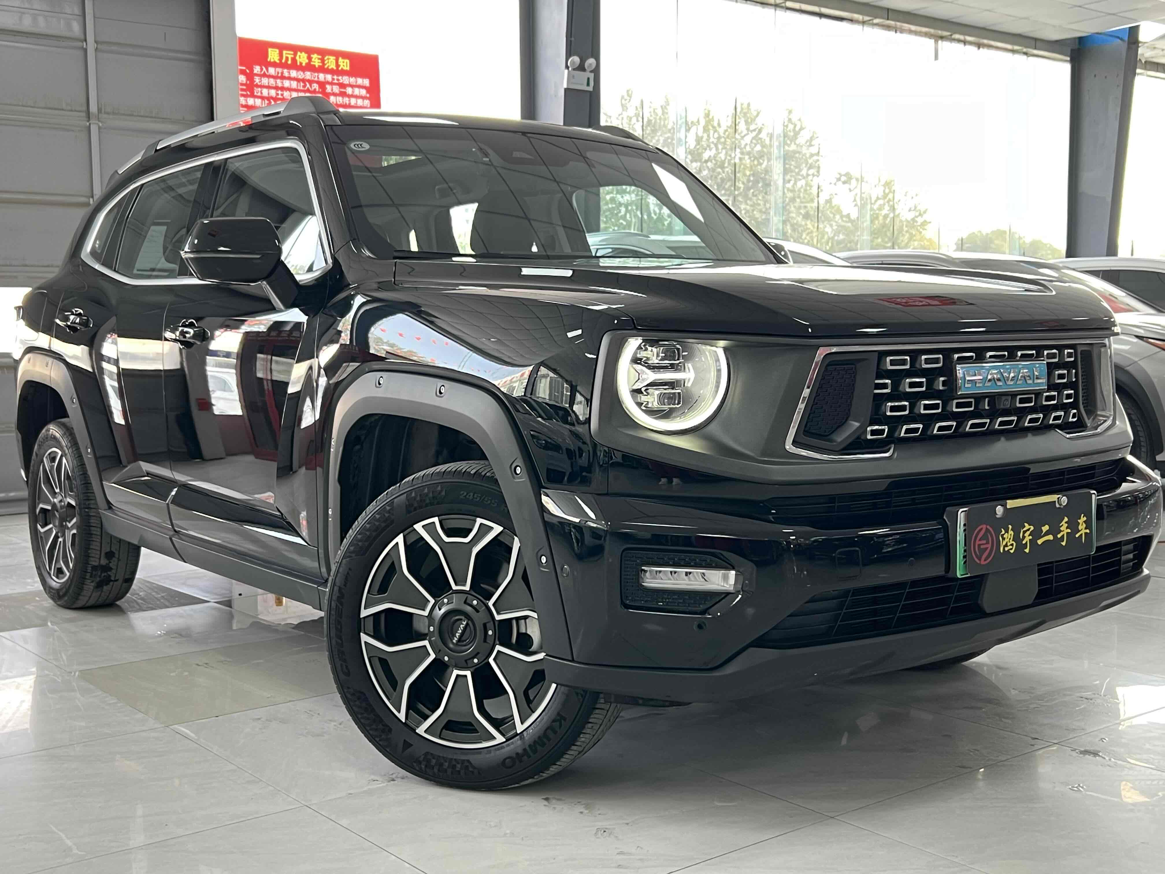 Haval X Dog 2 New Energy 2024 car image #4