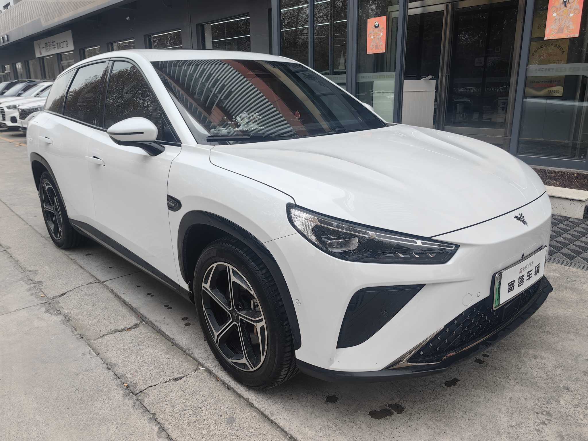 Neta L 2024 imagen de coche #4