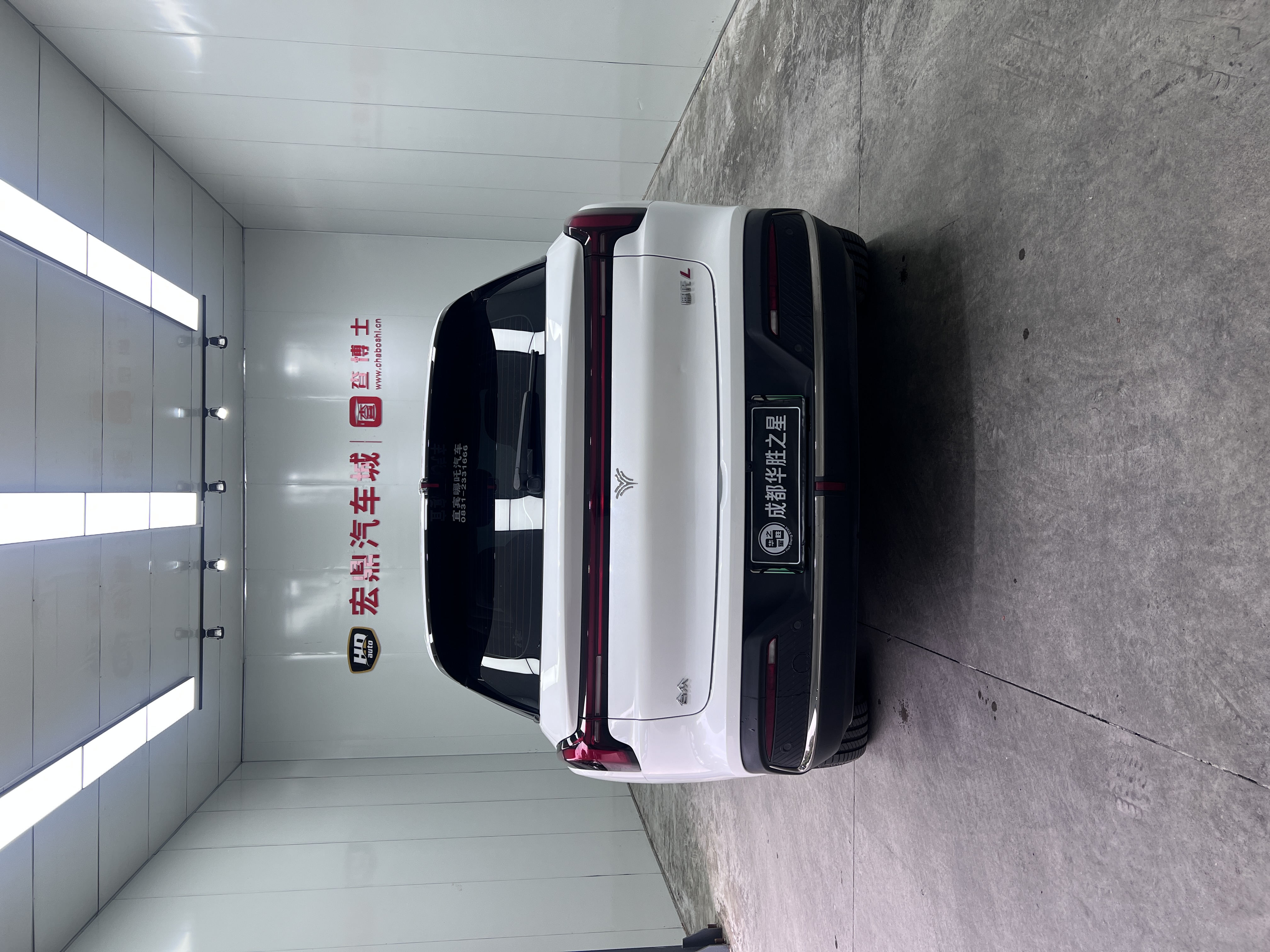 Neta L 2024 imagen de coche #4