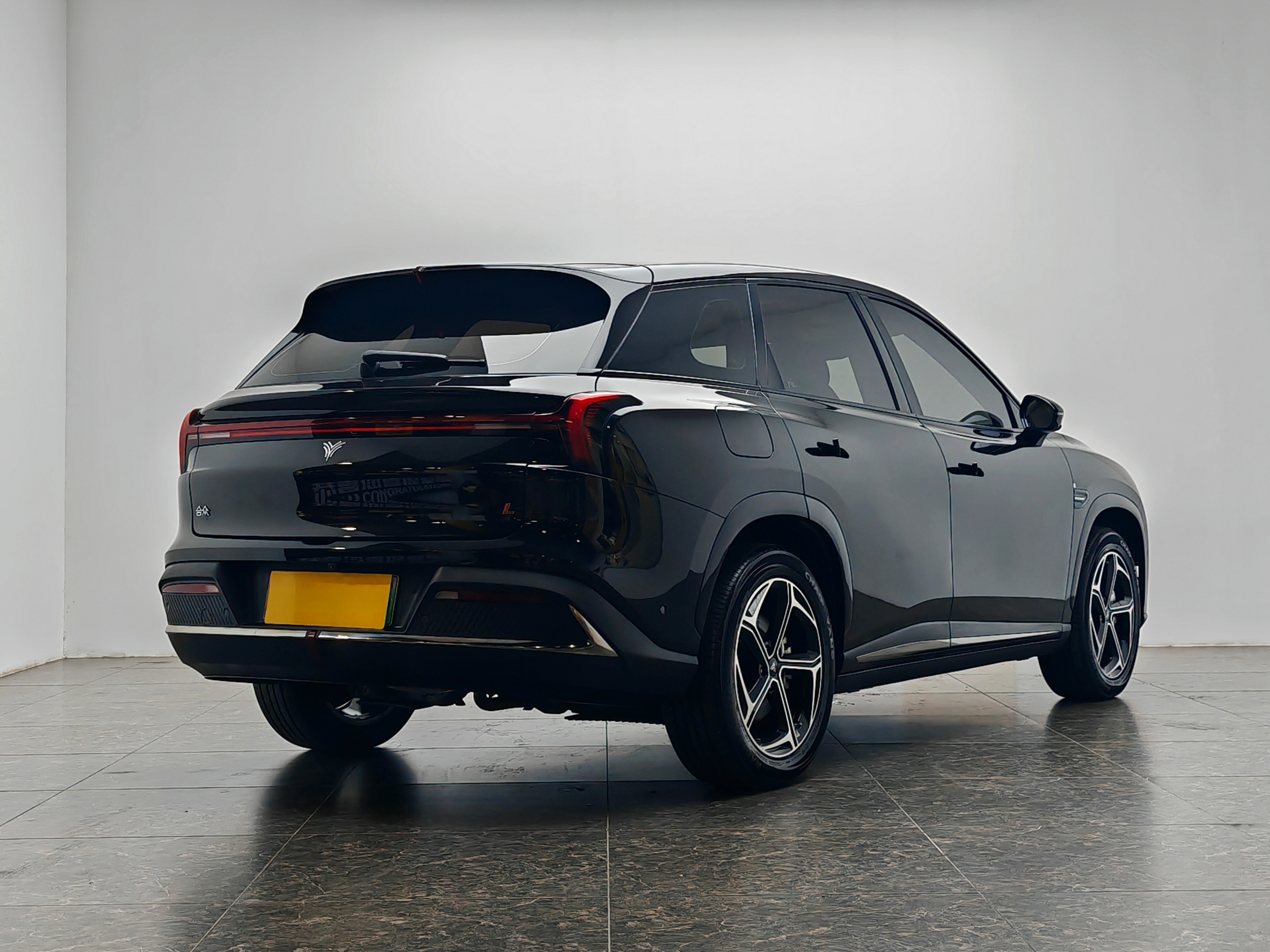 Neta L 2024 imagen de coche #4