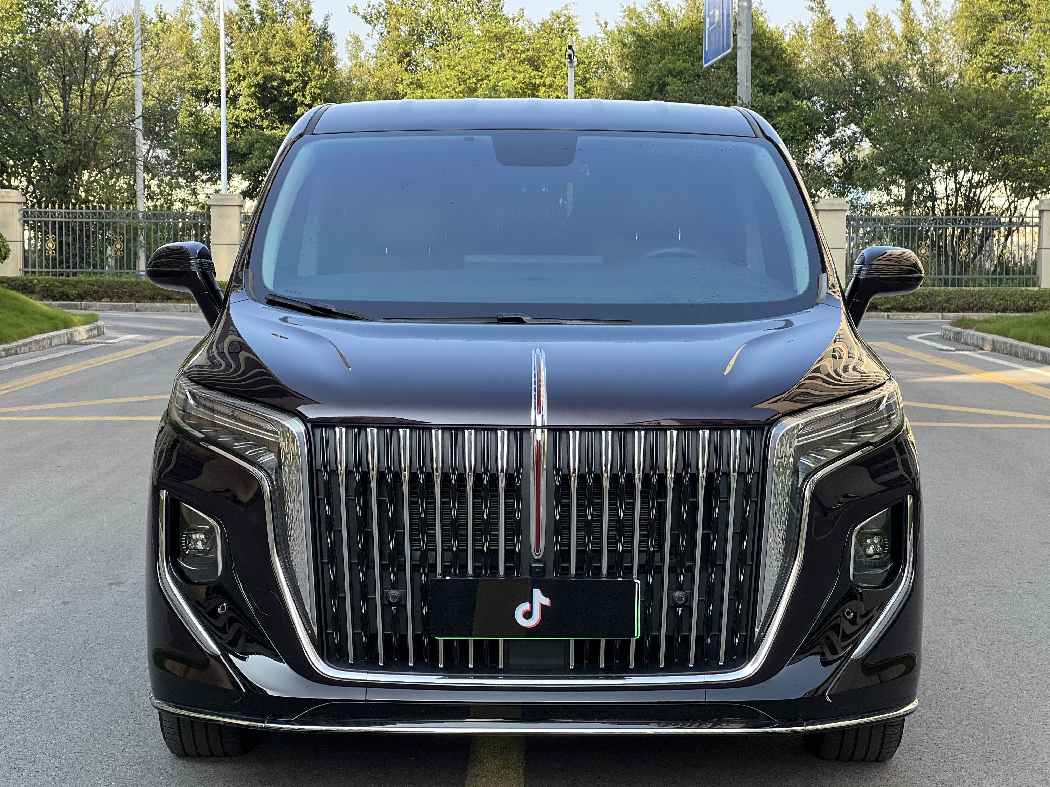HongQi HQ9 PHEV 2024 #4 HongQi HQ9 PHEV 2024 car image #4