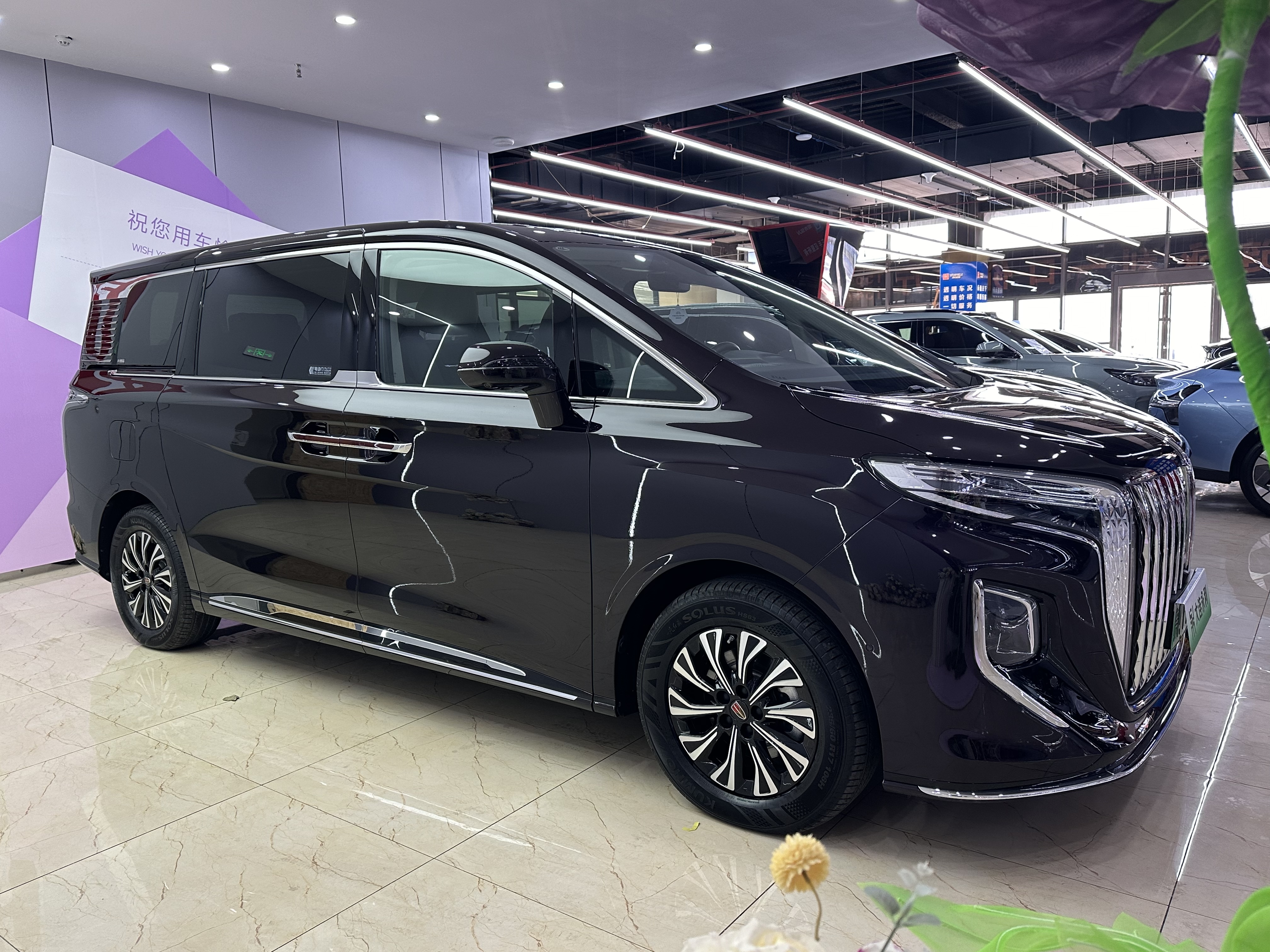 HongQi HQ9 PHEV 2024 car image #4