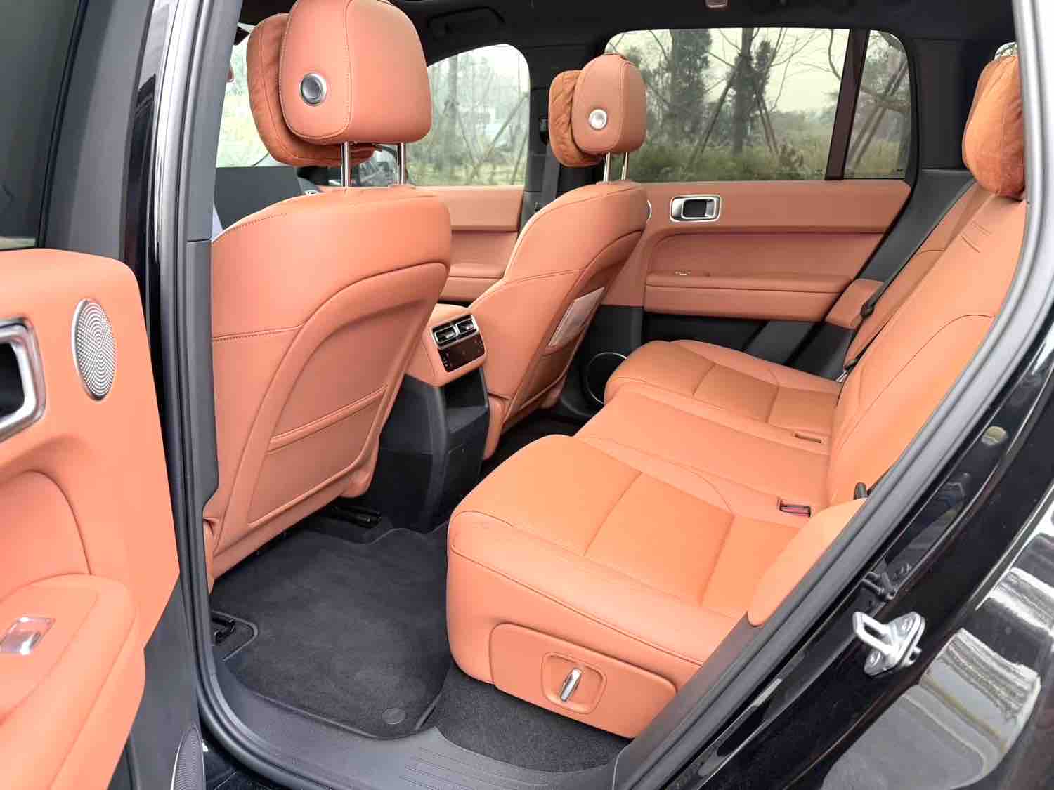 Li L6 2024 car image #4