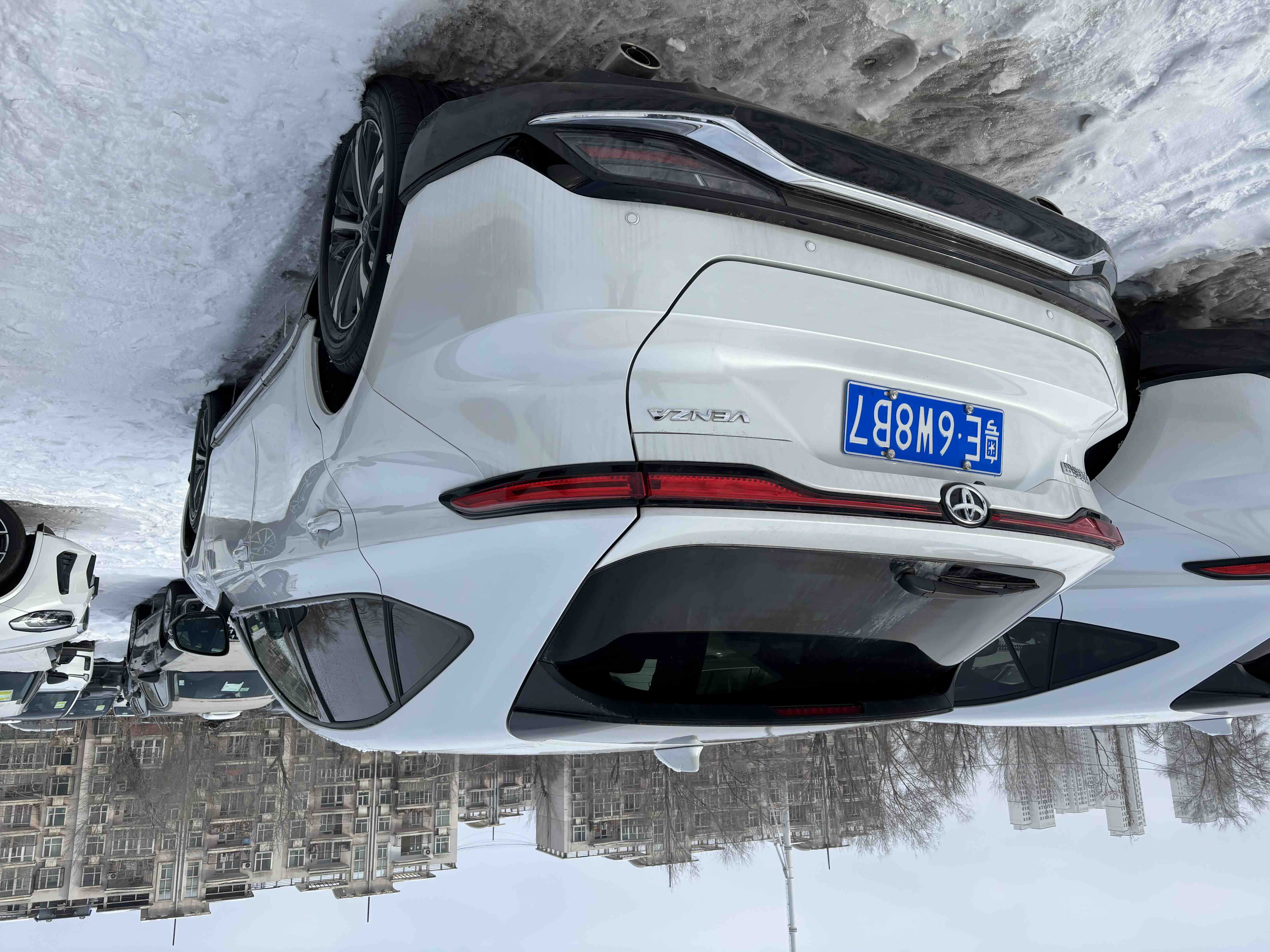 Toyota Venza 2025 immagine di auto #4