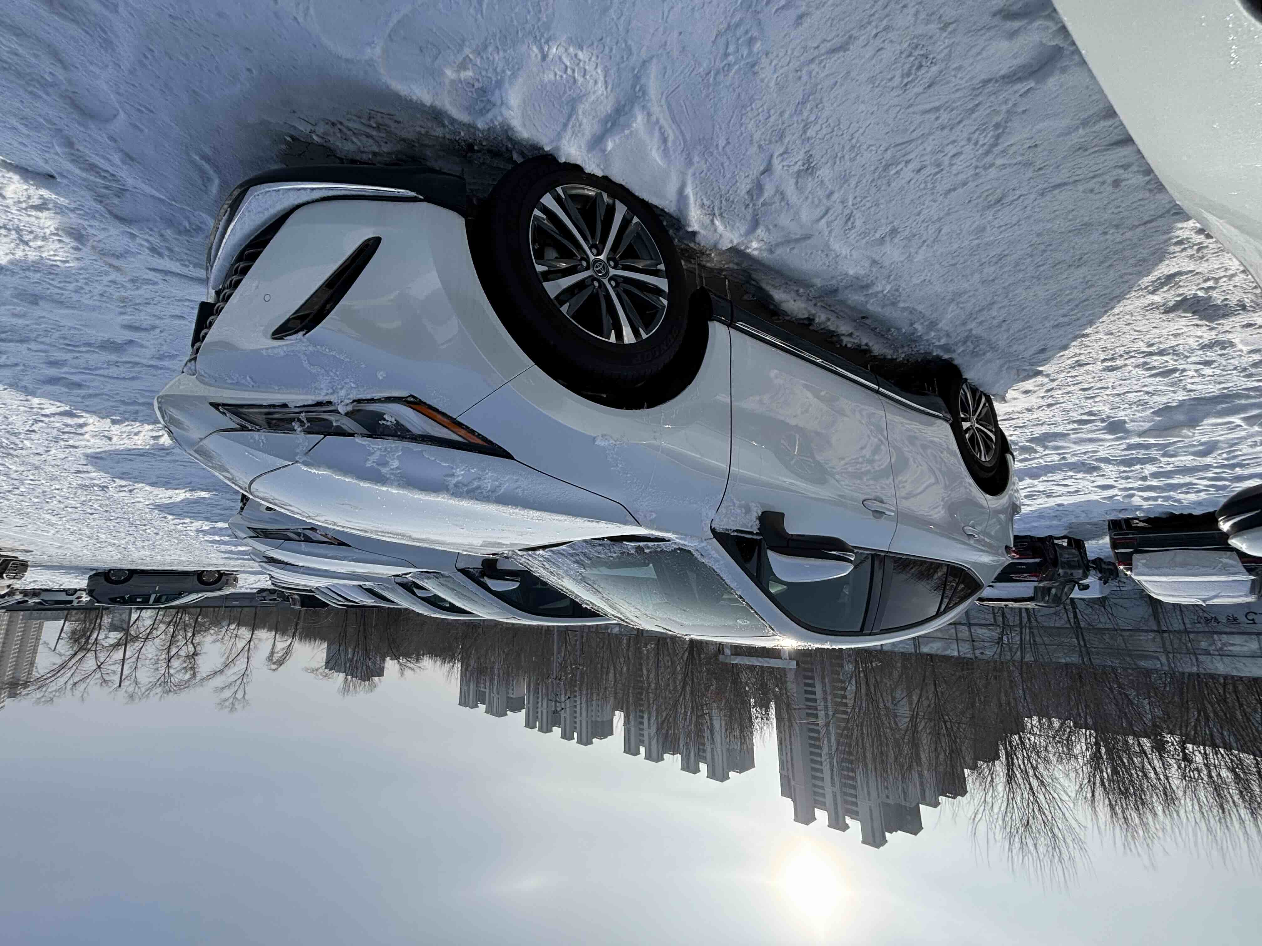 Toyota Venza 2025 صورة سيارة #4