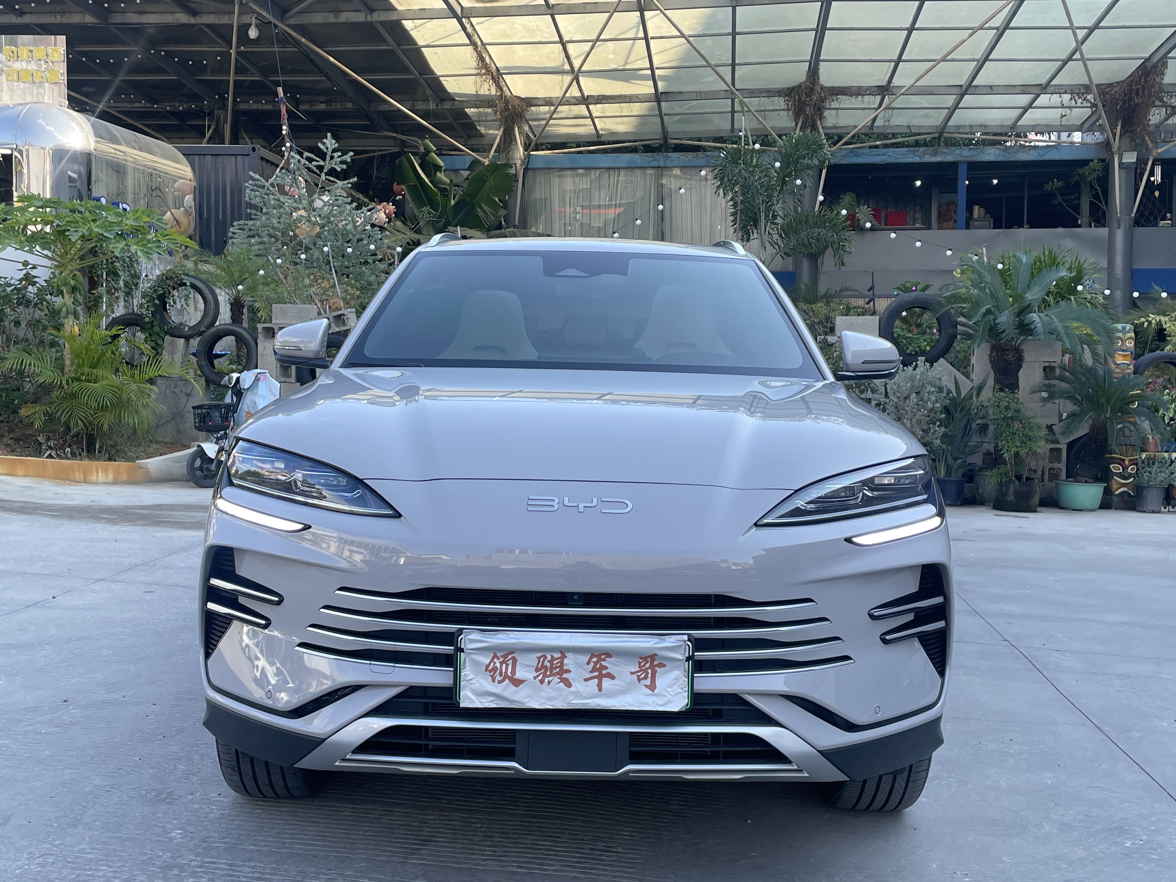 BYD Song Plus New Energy 2025 car image #4