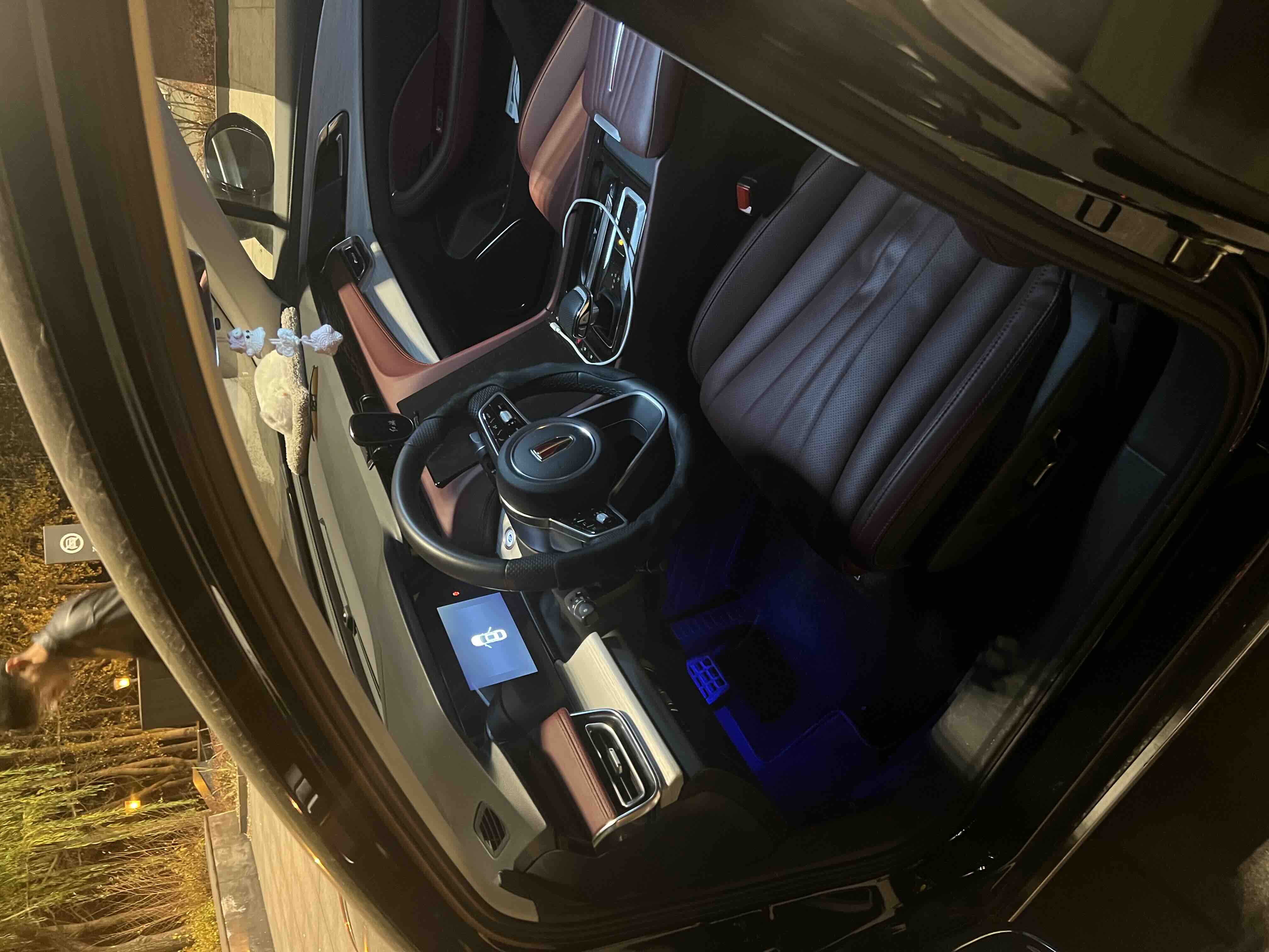 HongQi S9 2024 immagine di auto #4