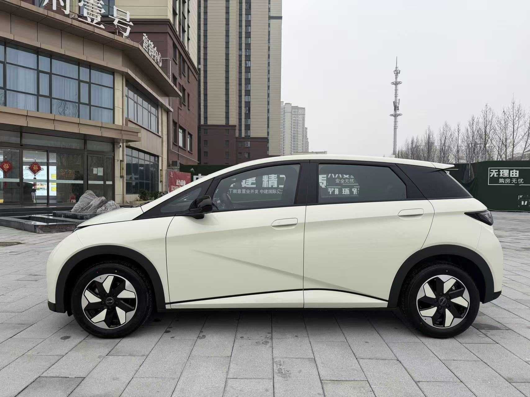 BYD Dolphin 2026 #4 BYD Dolphin 2026 car image #4