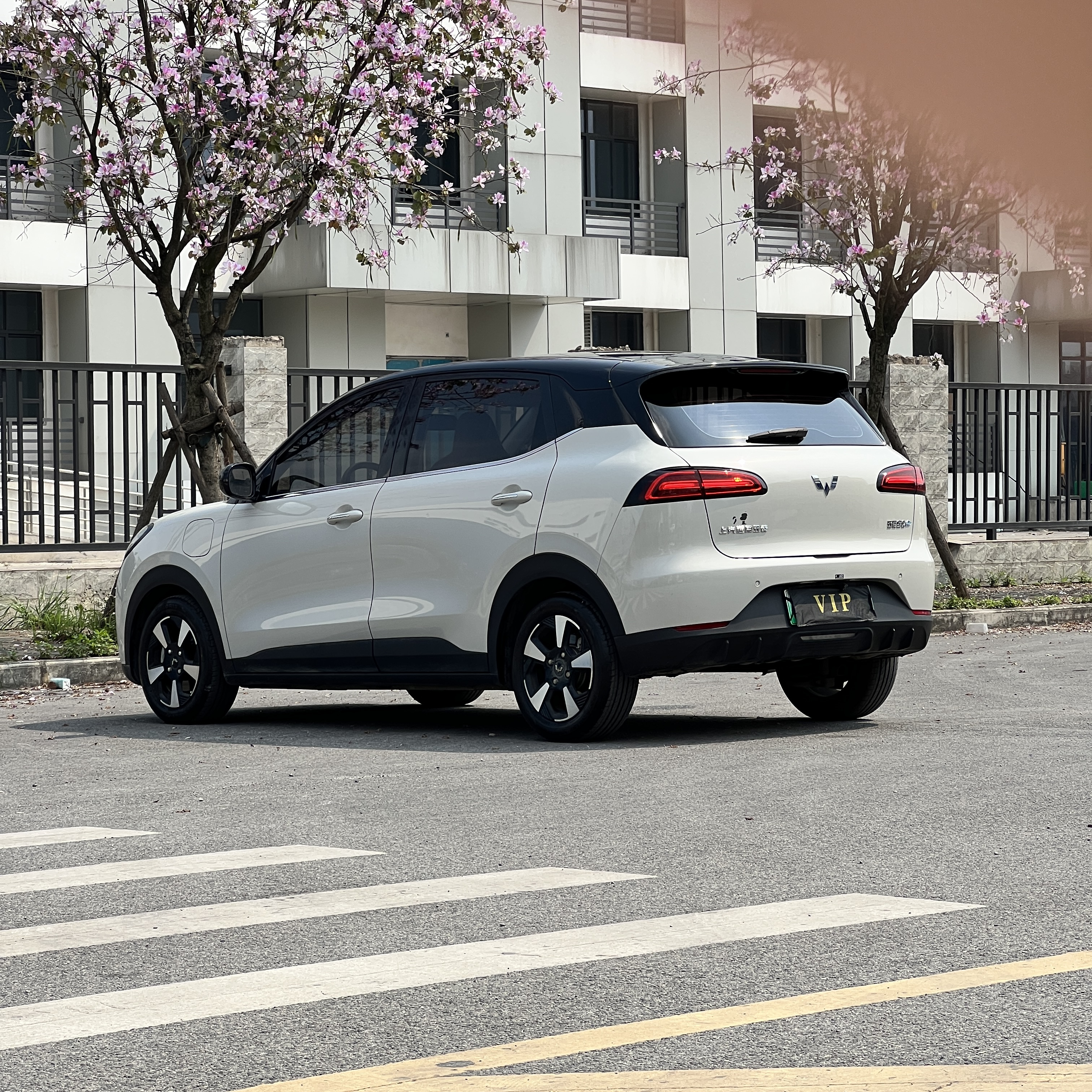 Wuling Binguo PLUS 2024 image de voiture #4