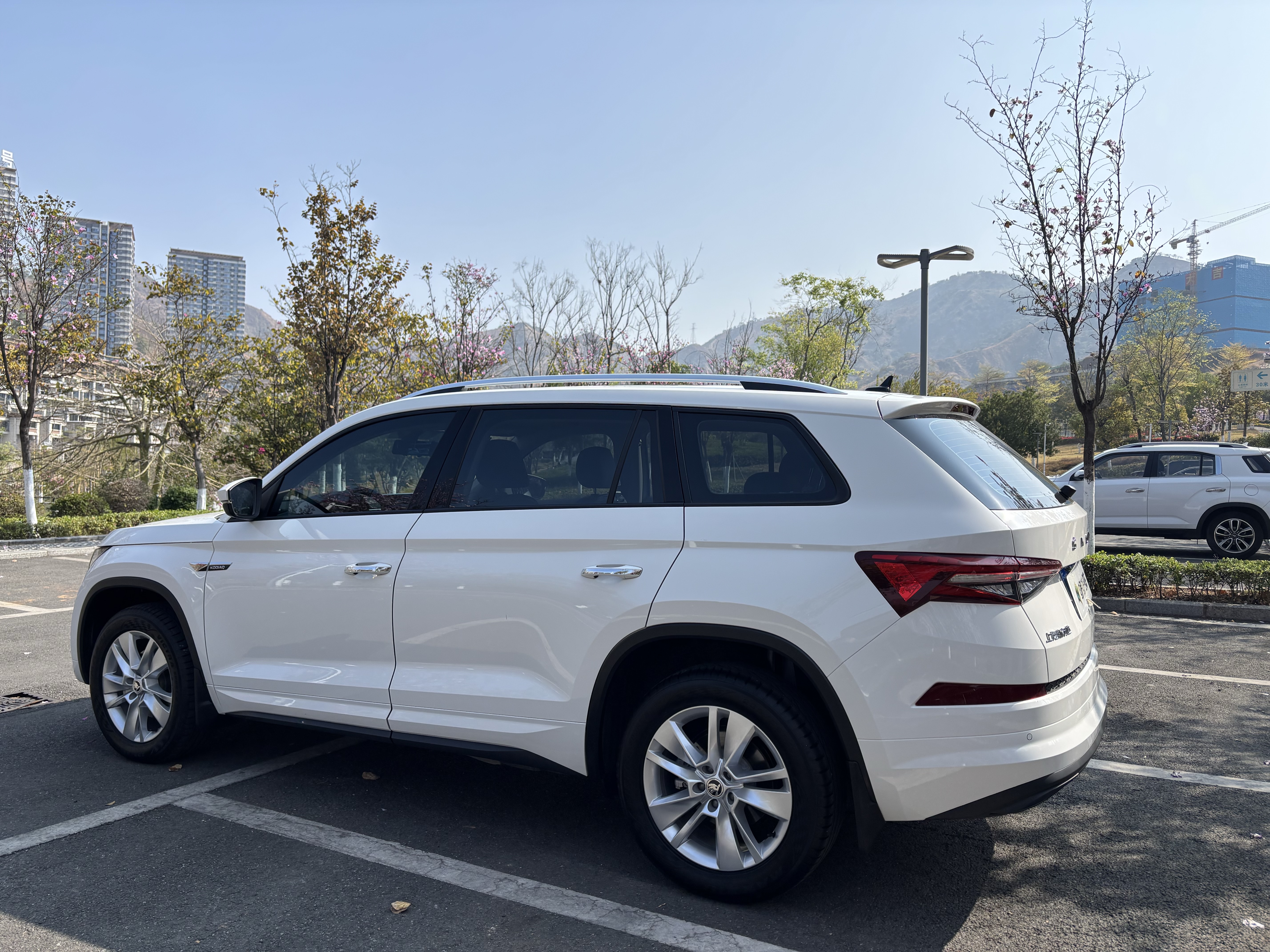 Skoda Kodiaq 2025 صورة سيارة #4