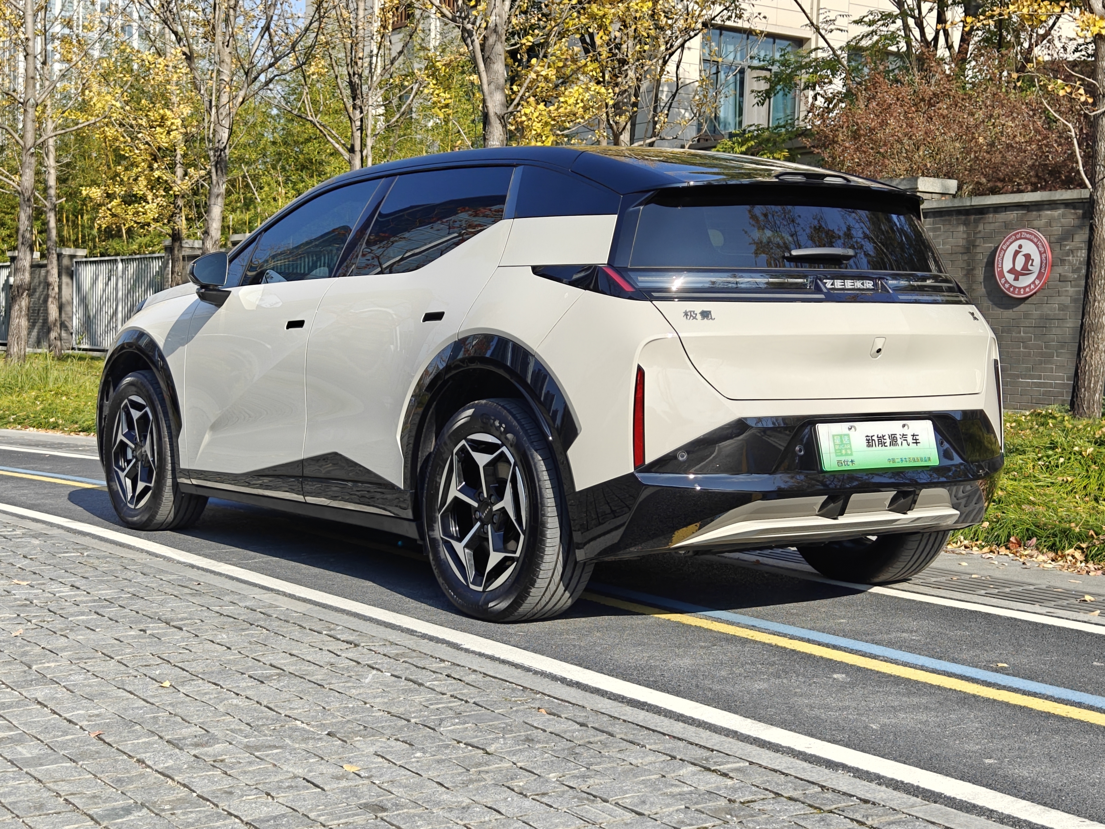 极氪 极氪X 2025 汽车图片 #4