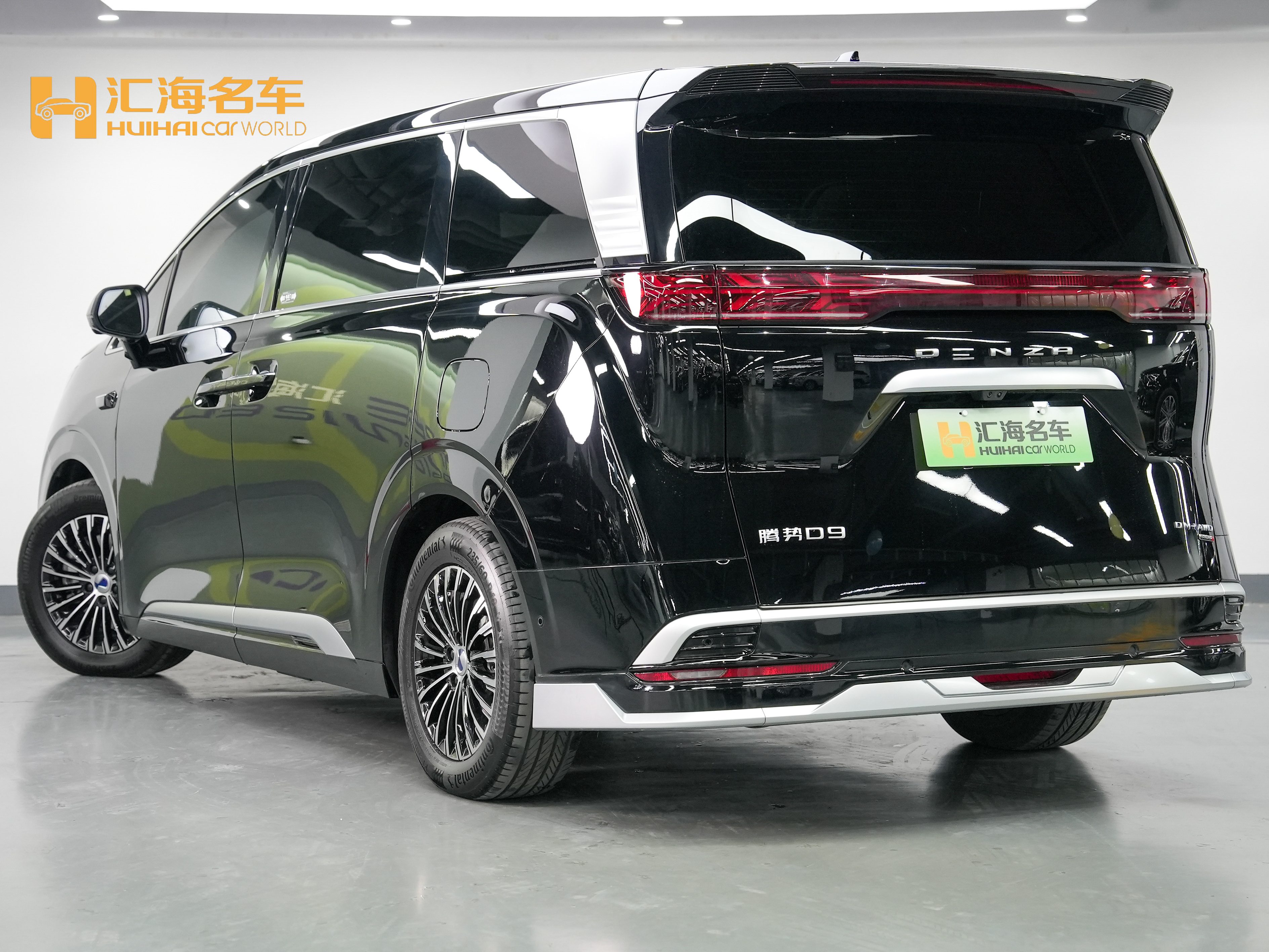 Denza D9 2025 image de voiture #4