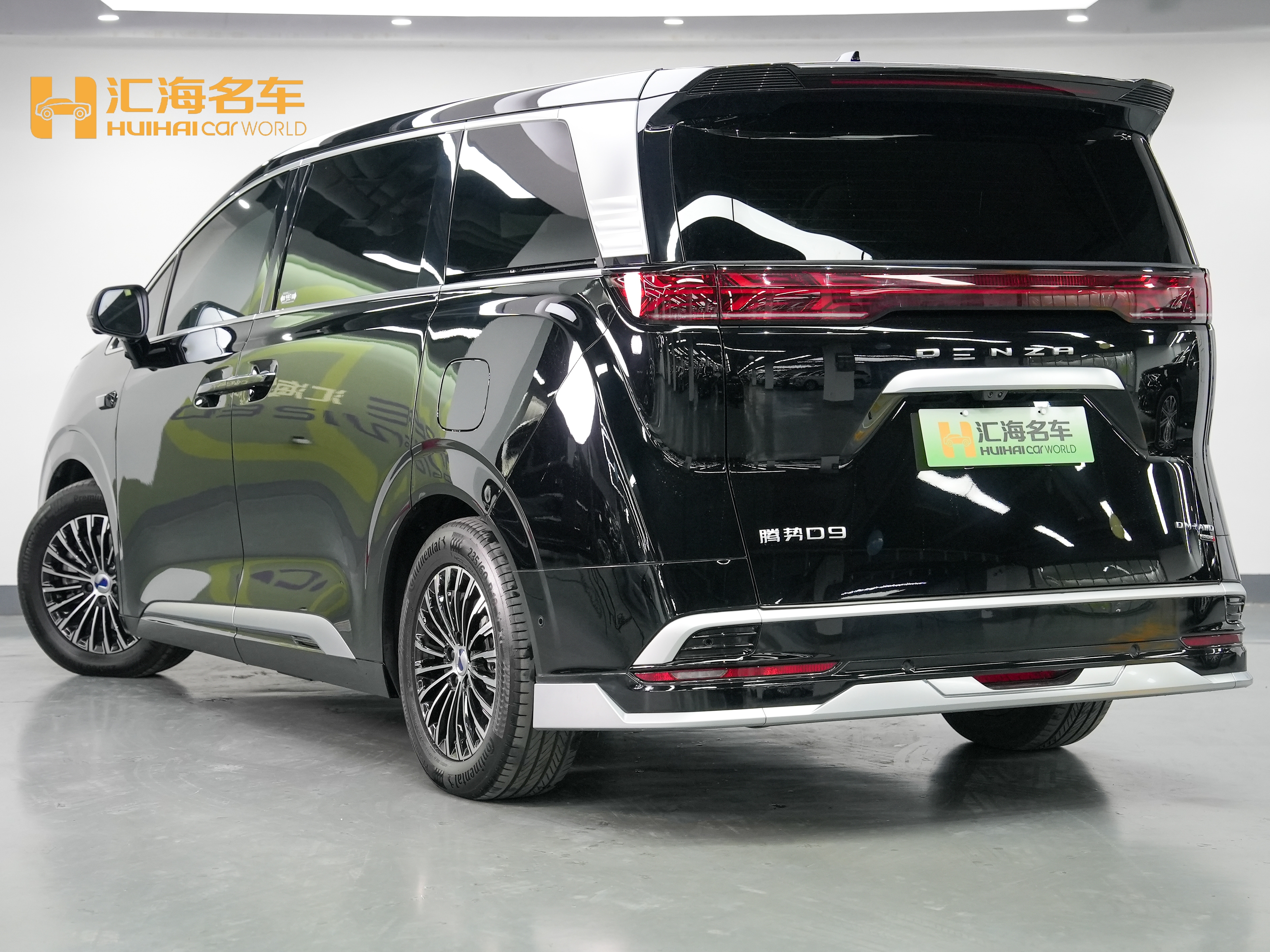 Denza D9 2025 immagine di auto #4