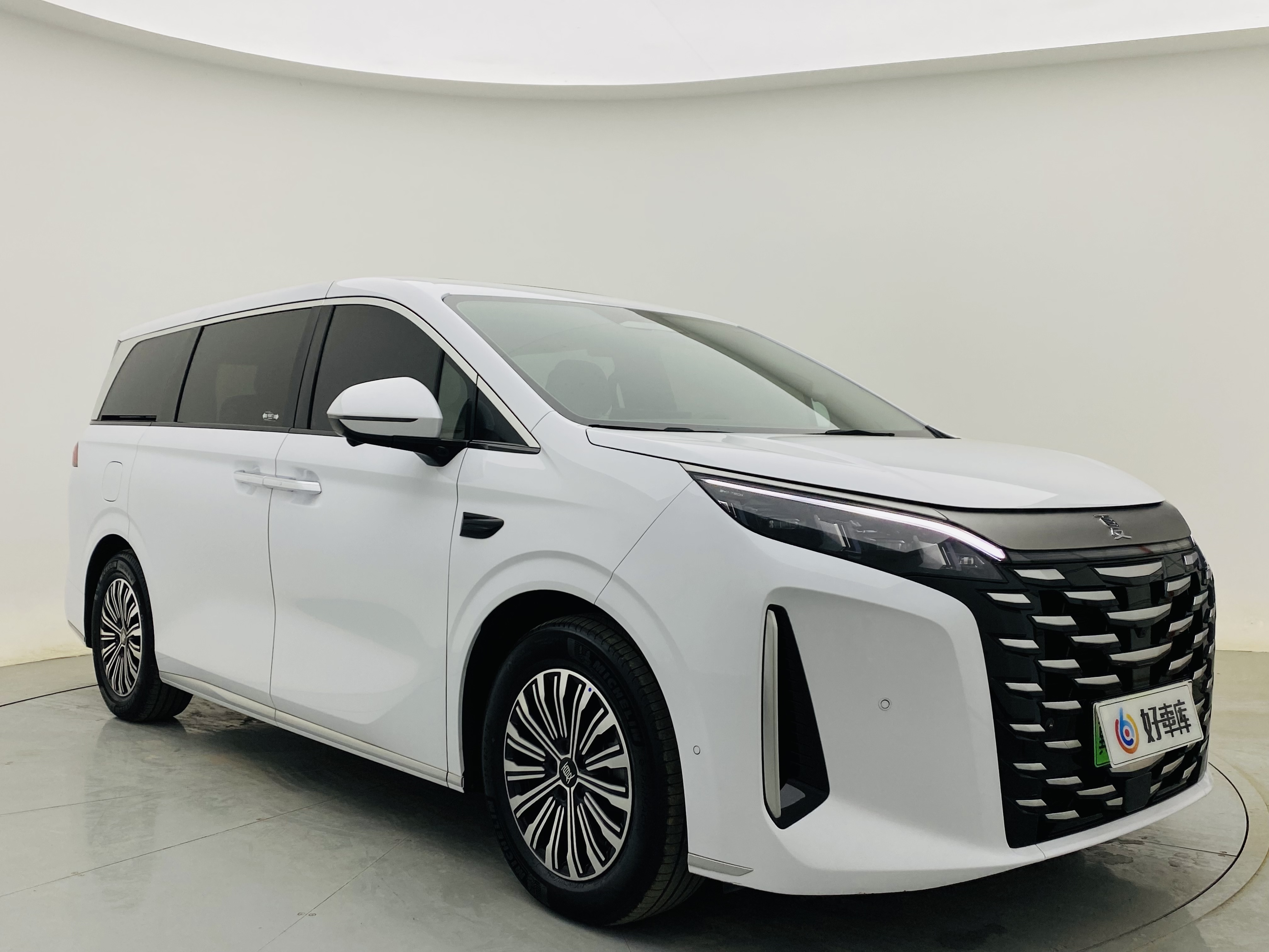 BYD Xia 2025 imagen de coche #4