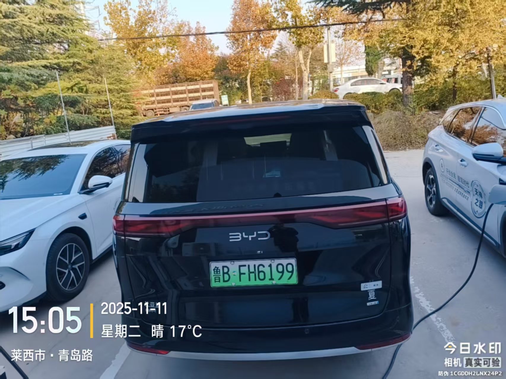 BYD Xia 2025 #4 BYD Xia 2025 imagem de carro #4