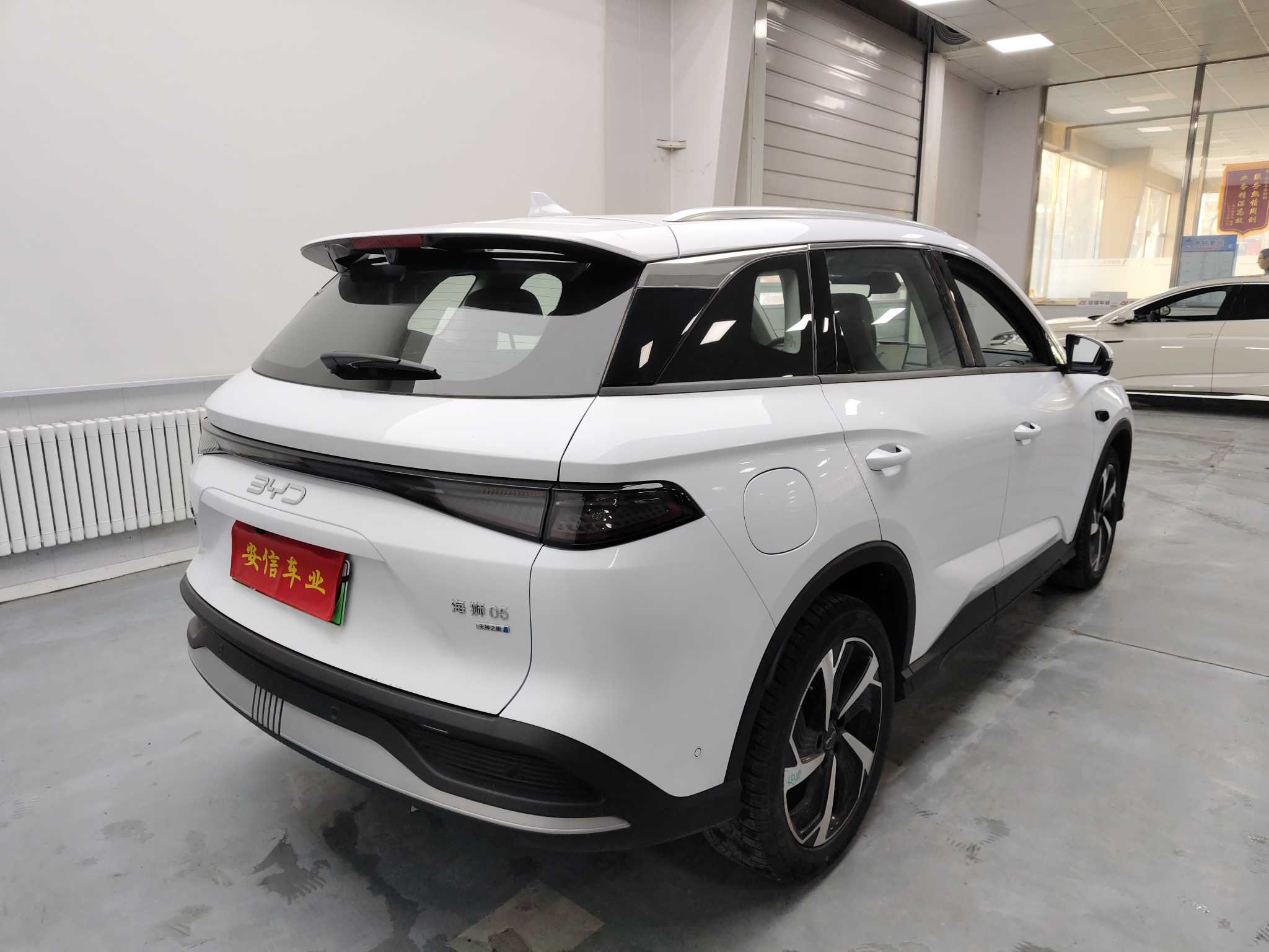 BYD Sea Lion 05 DM-i 2025 car image #4