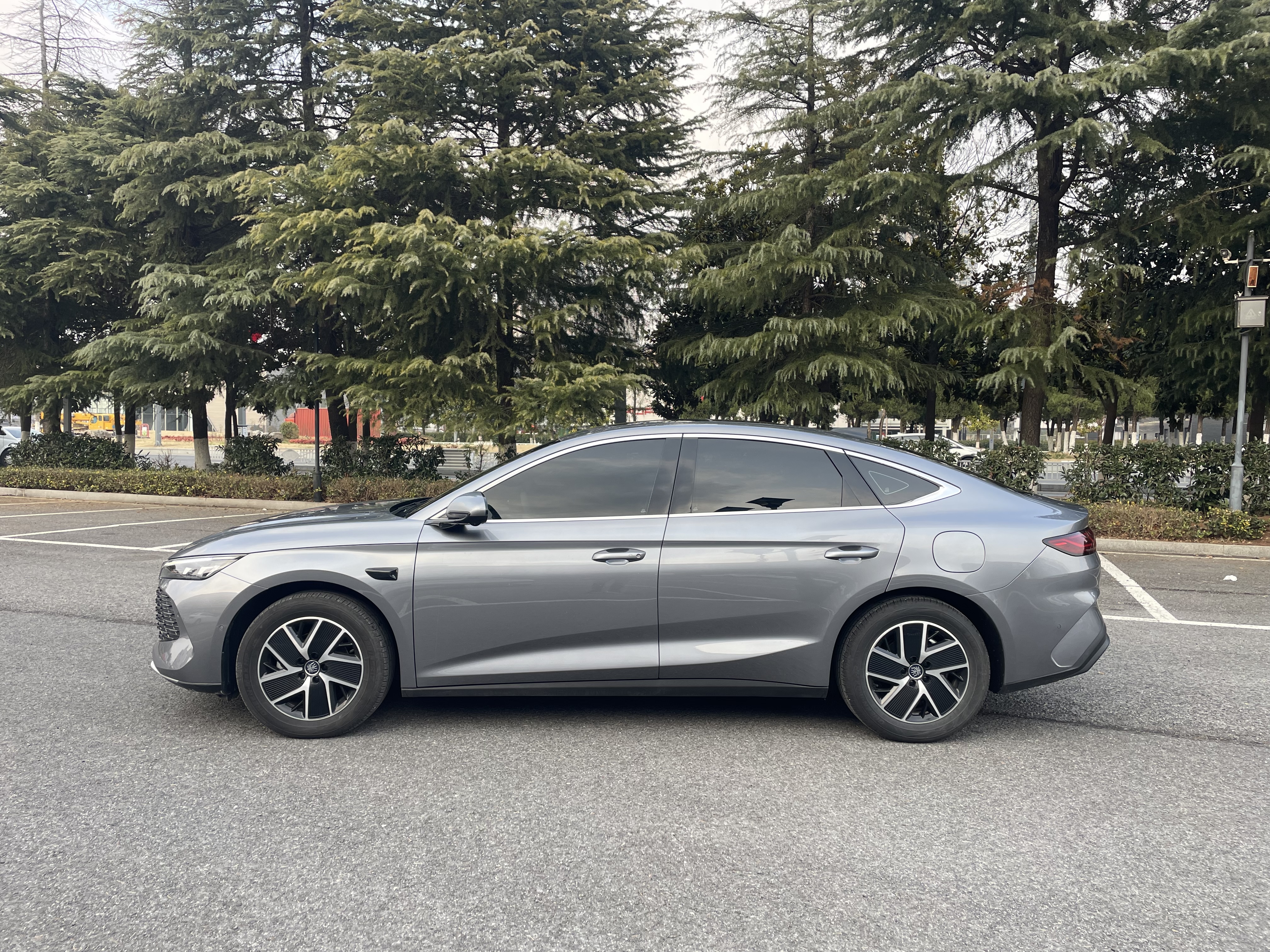 BYD Qin L 2025 car image #4
