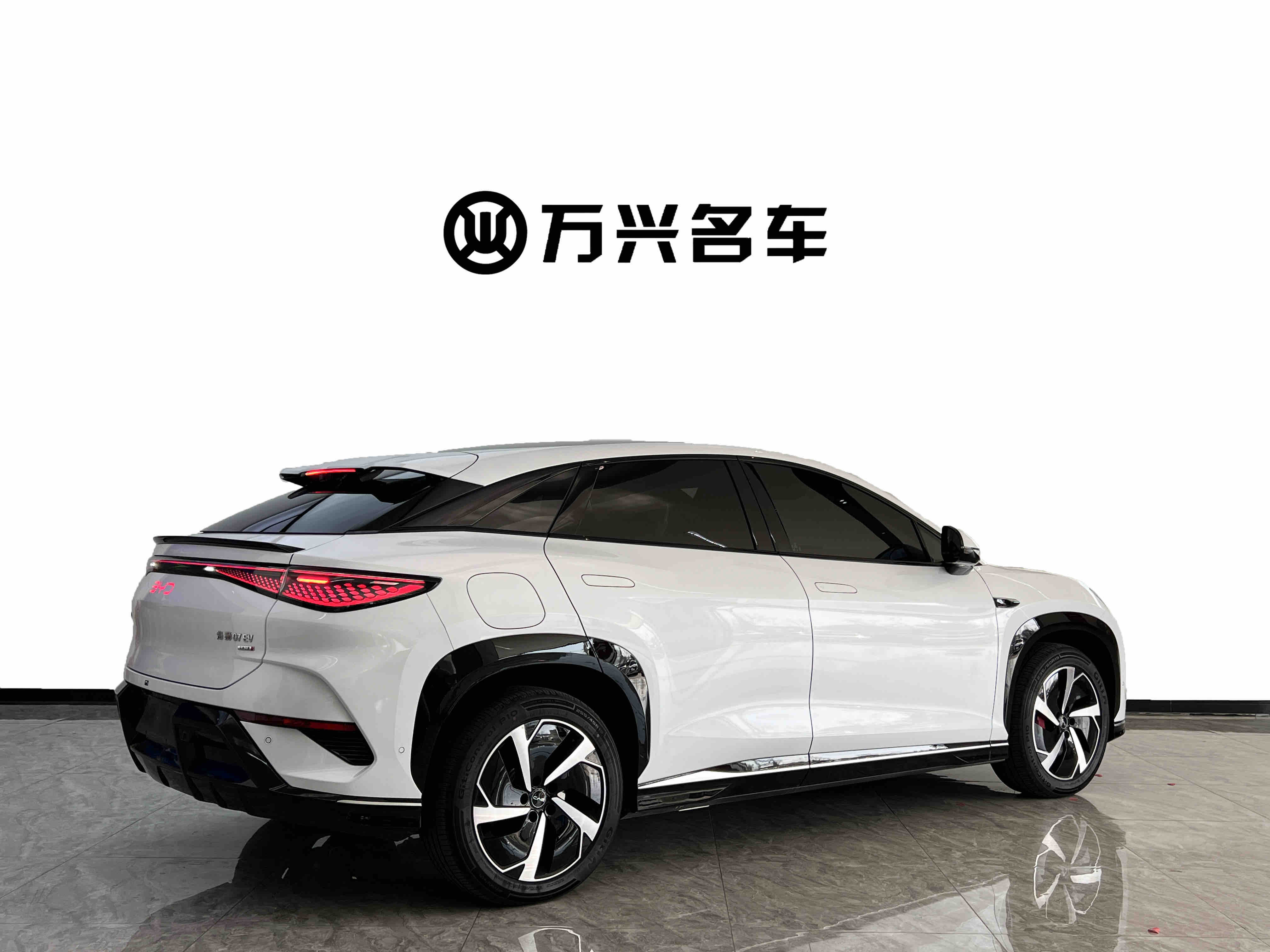 BYD Sea Lion 07 EV 2025 car image #4