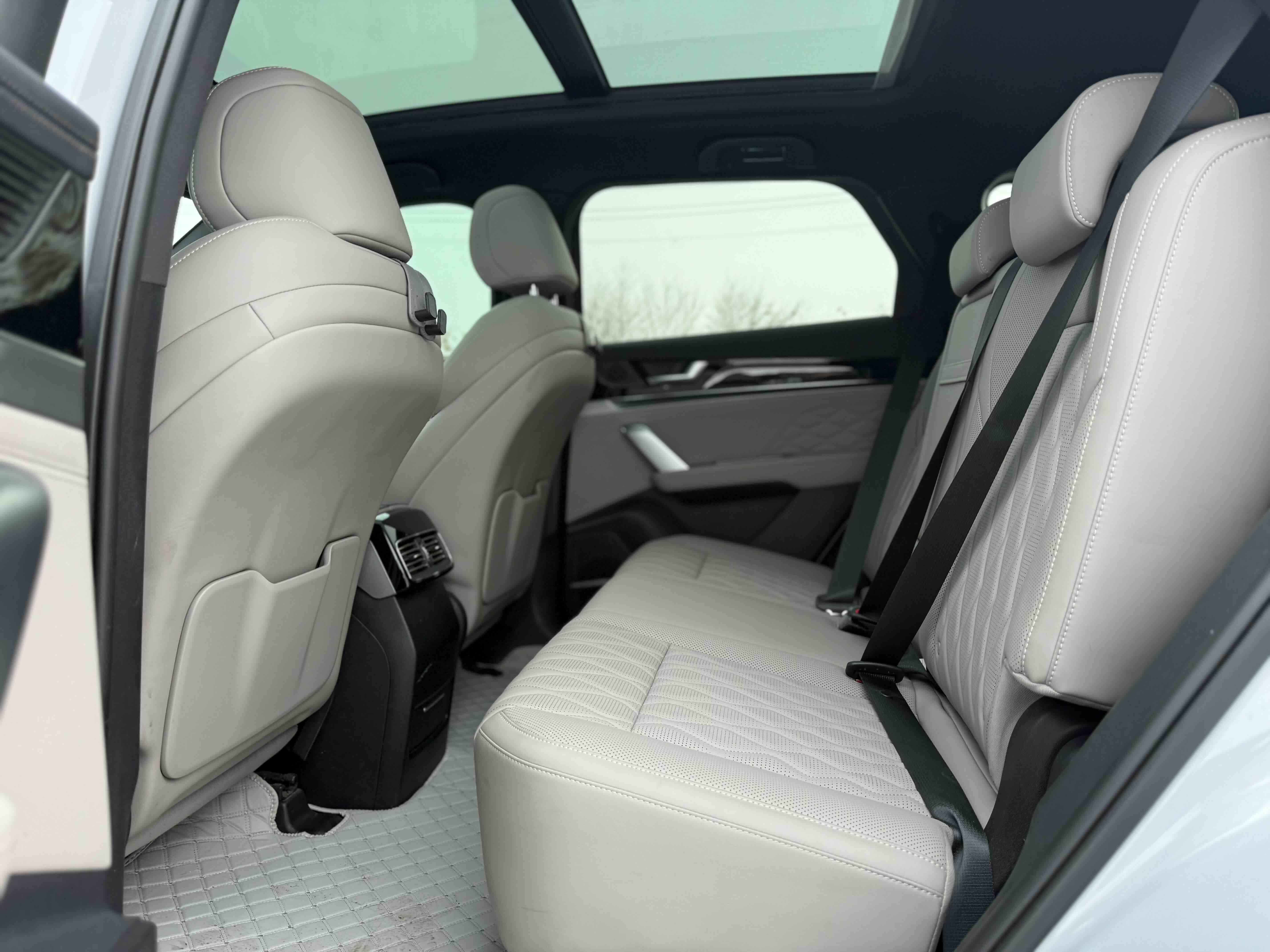 BYD Tang New Energy 2025 car image #4