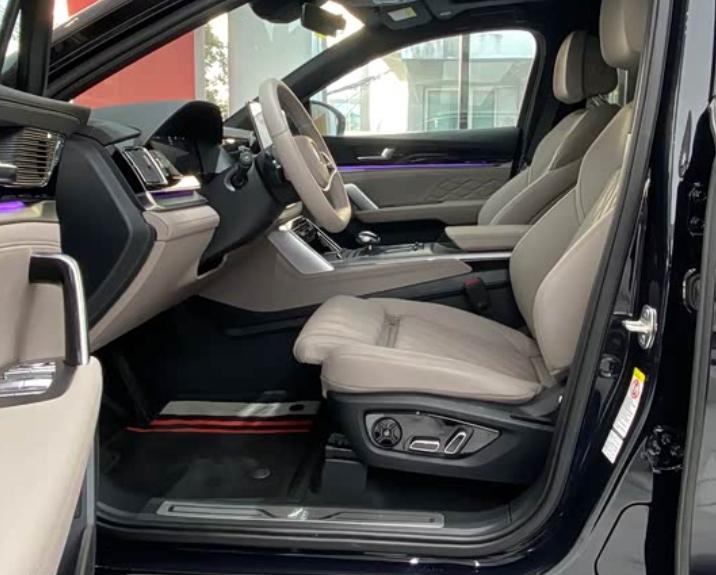 BYD Tang New Energy 2025 car image #4