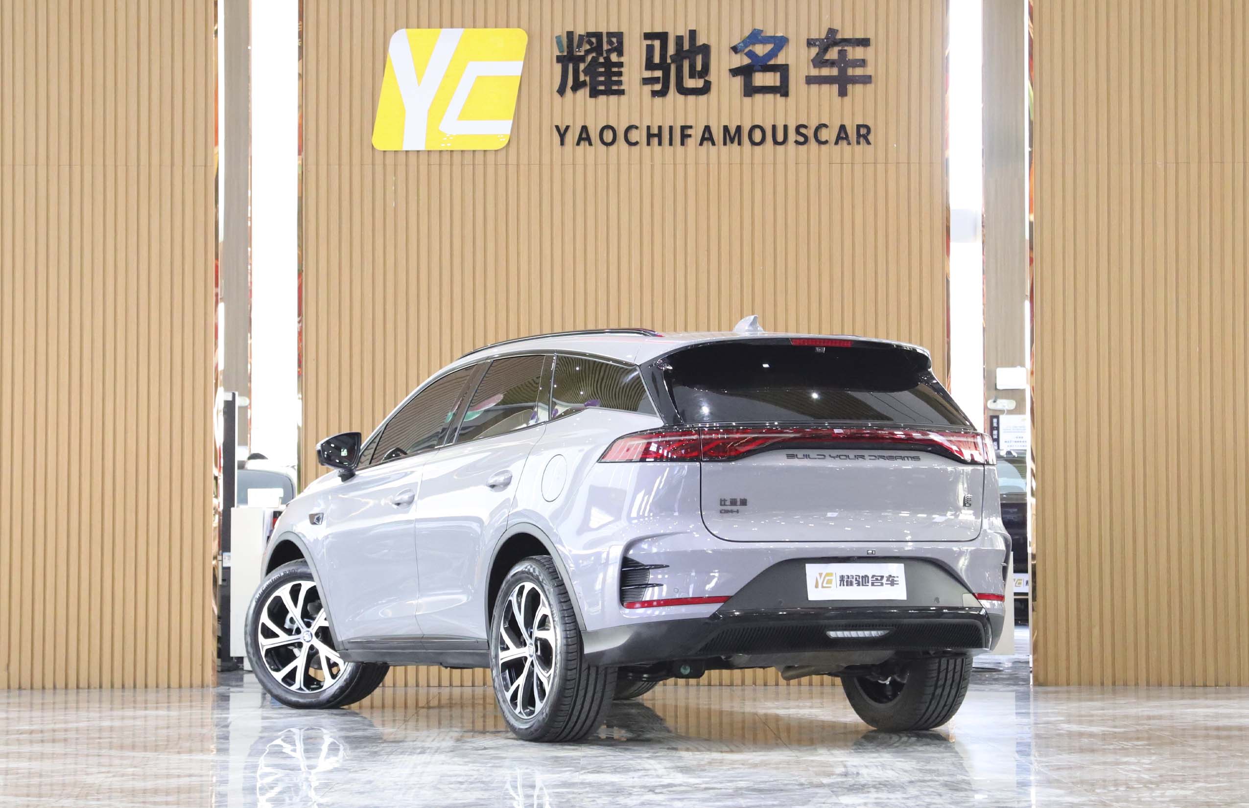 BYD Tang New Energy 2025 car image #4