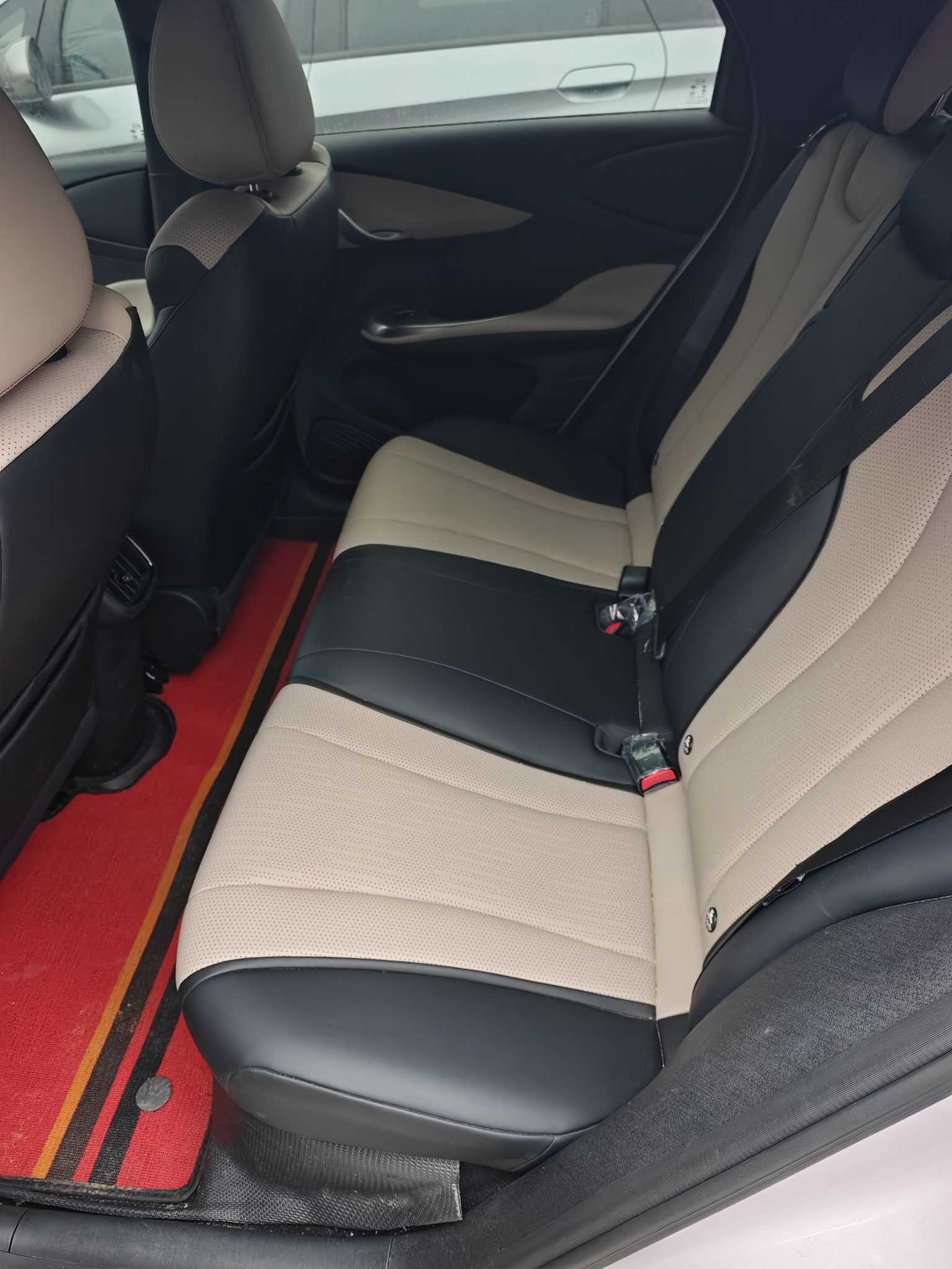 BYD Dolphin 2025 car image #4