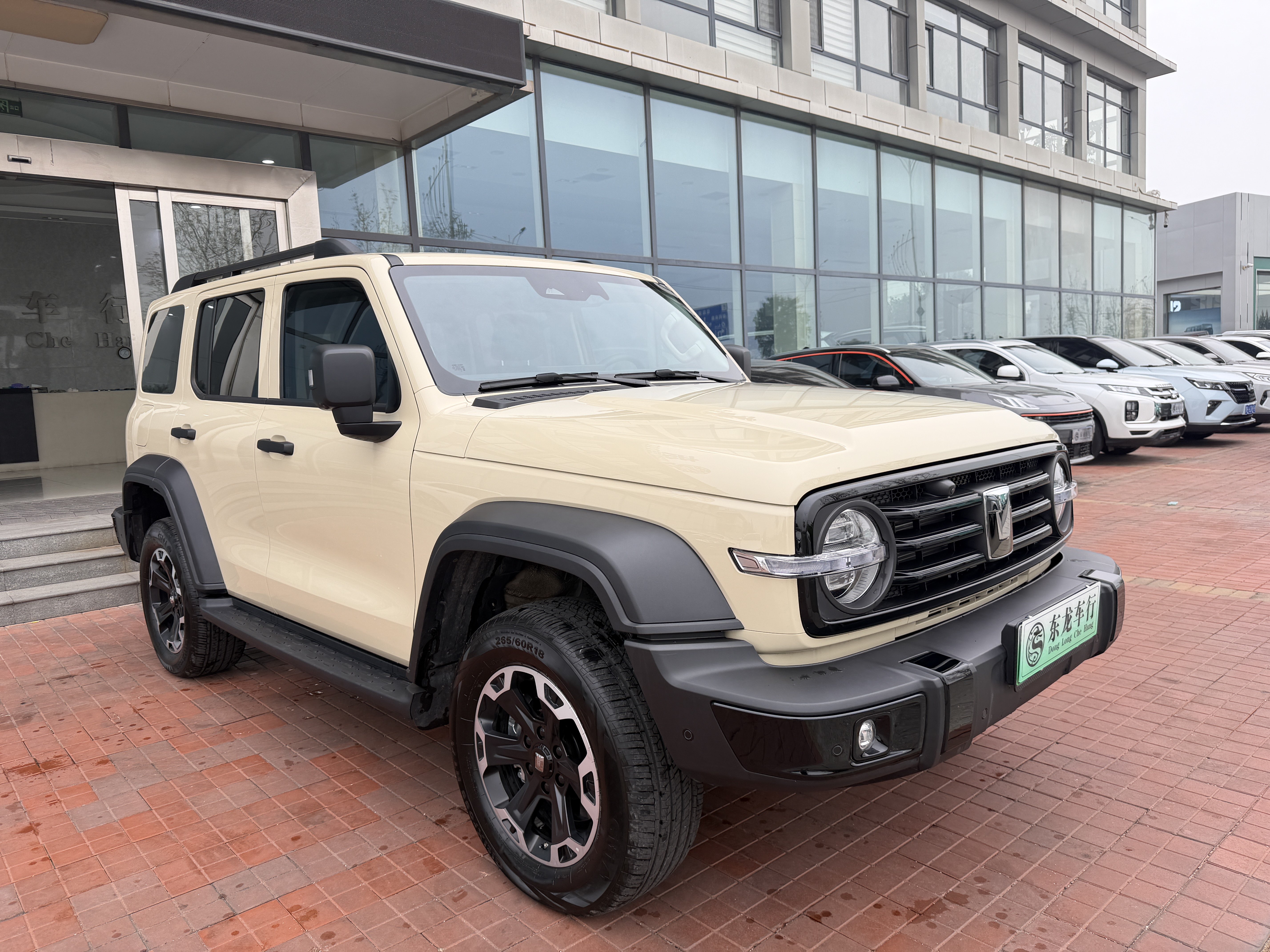 Tank 300 New Energy 2025 car image #4