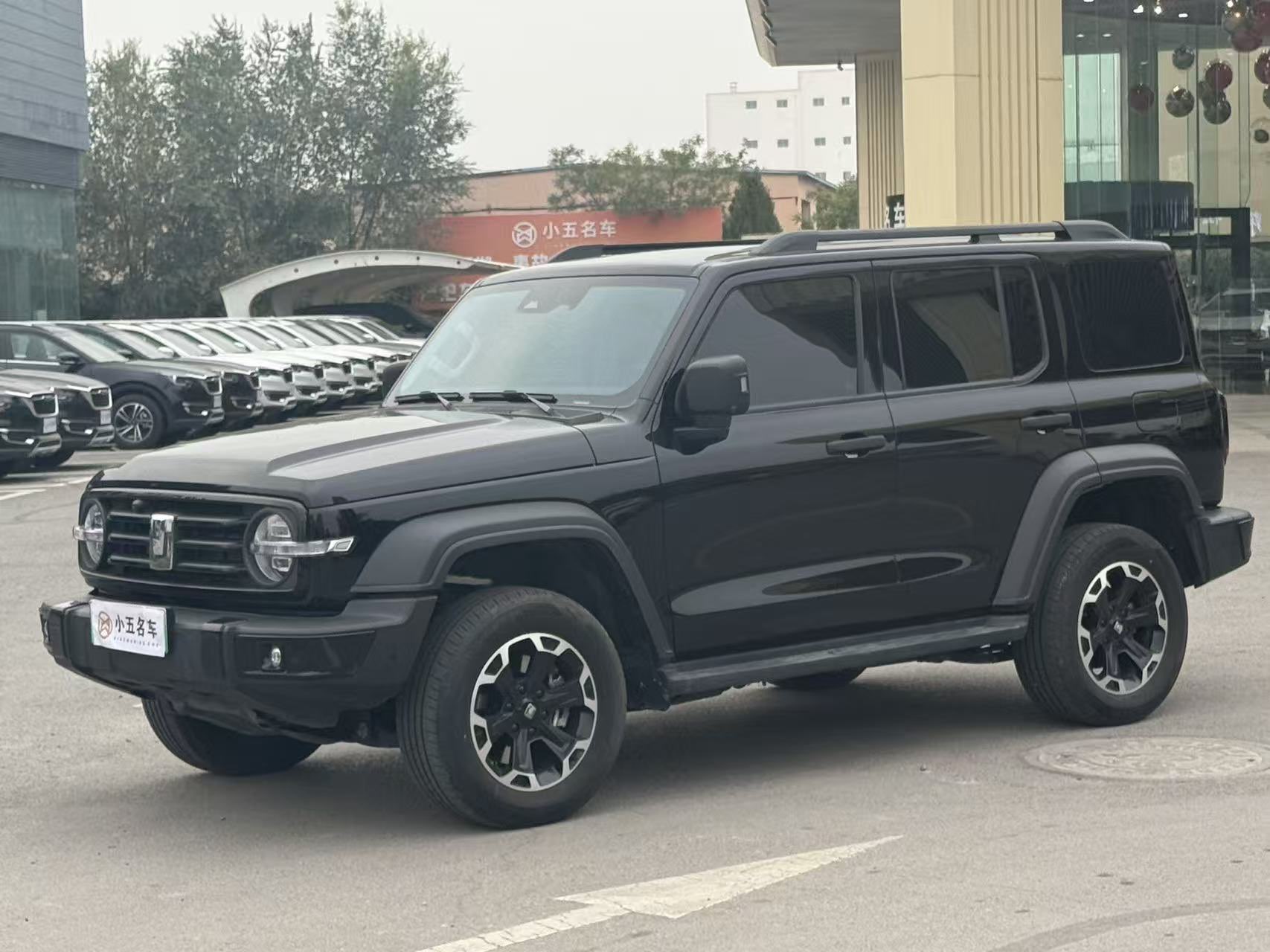 Tank 300 New Energy 2025 car image #4