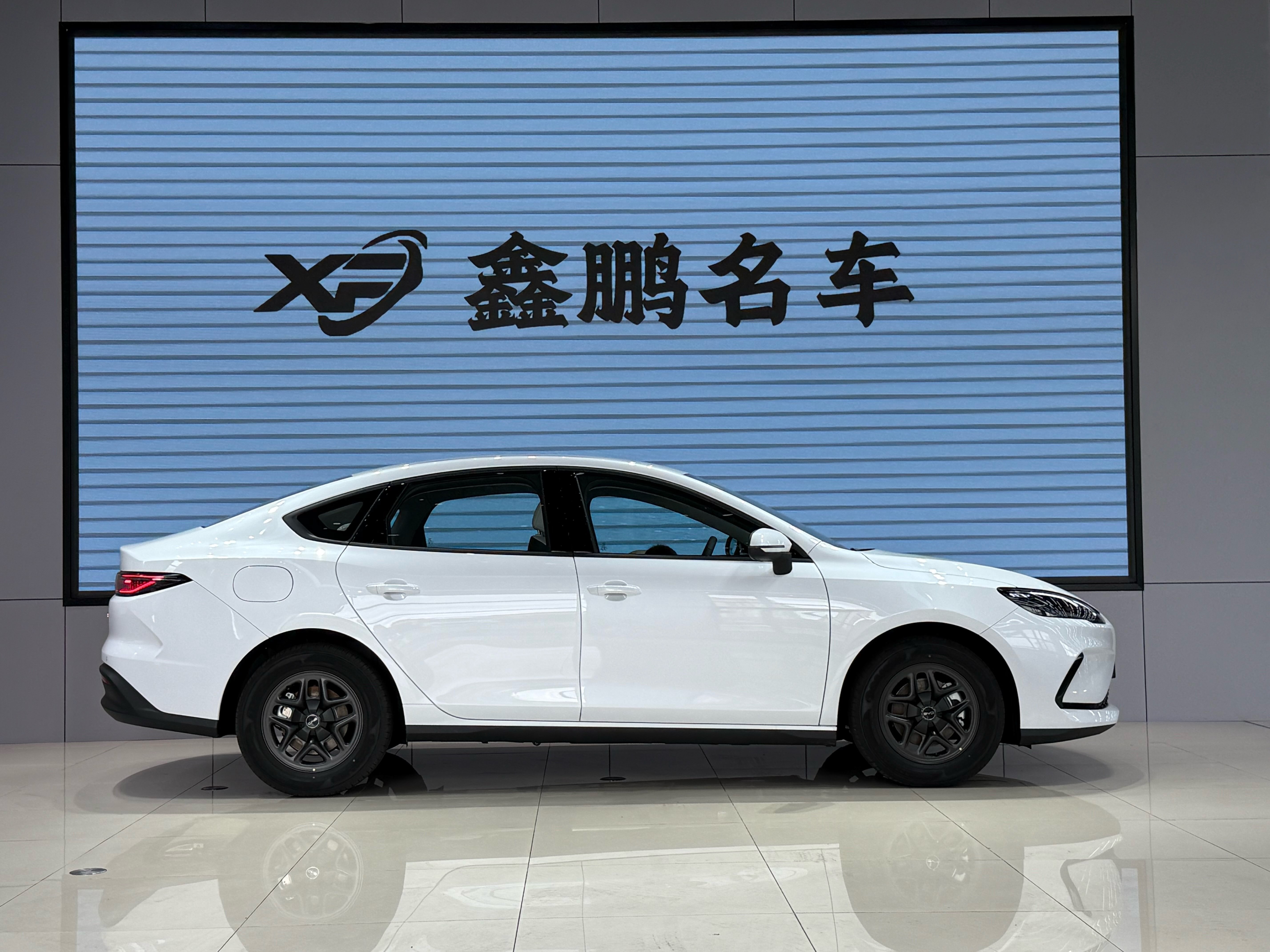 BYD Seal 05 DM-i 2025 car image #4